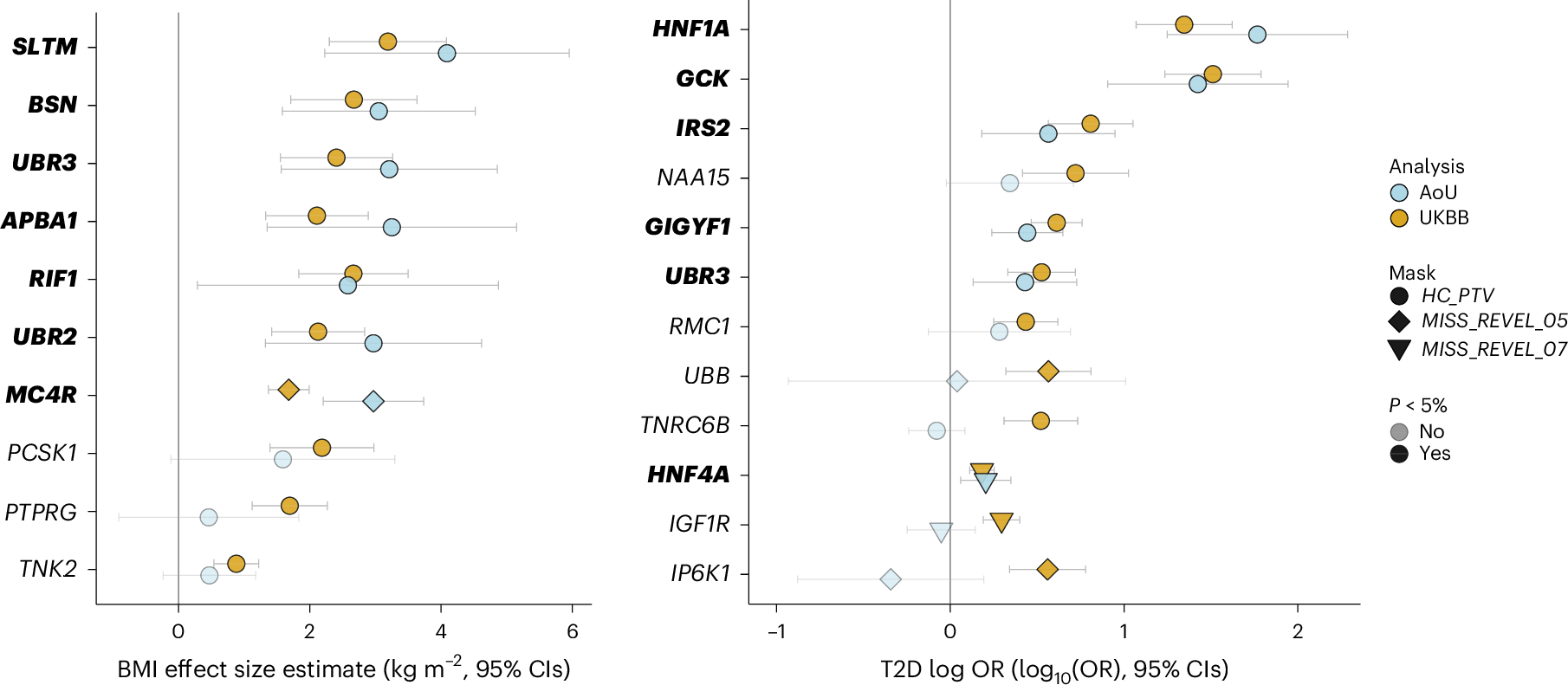 Fig. 2: Discovery and replication of significant associations with BMI and T2D in UKBB and AoU.