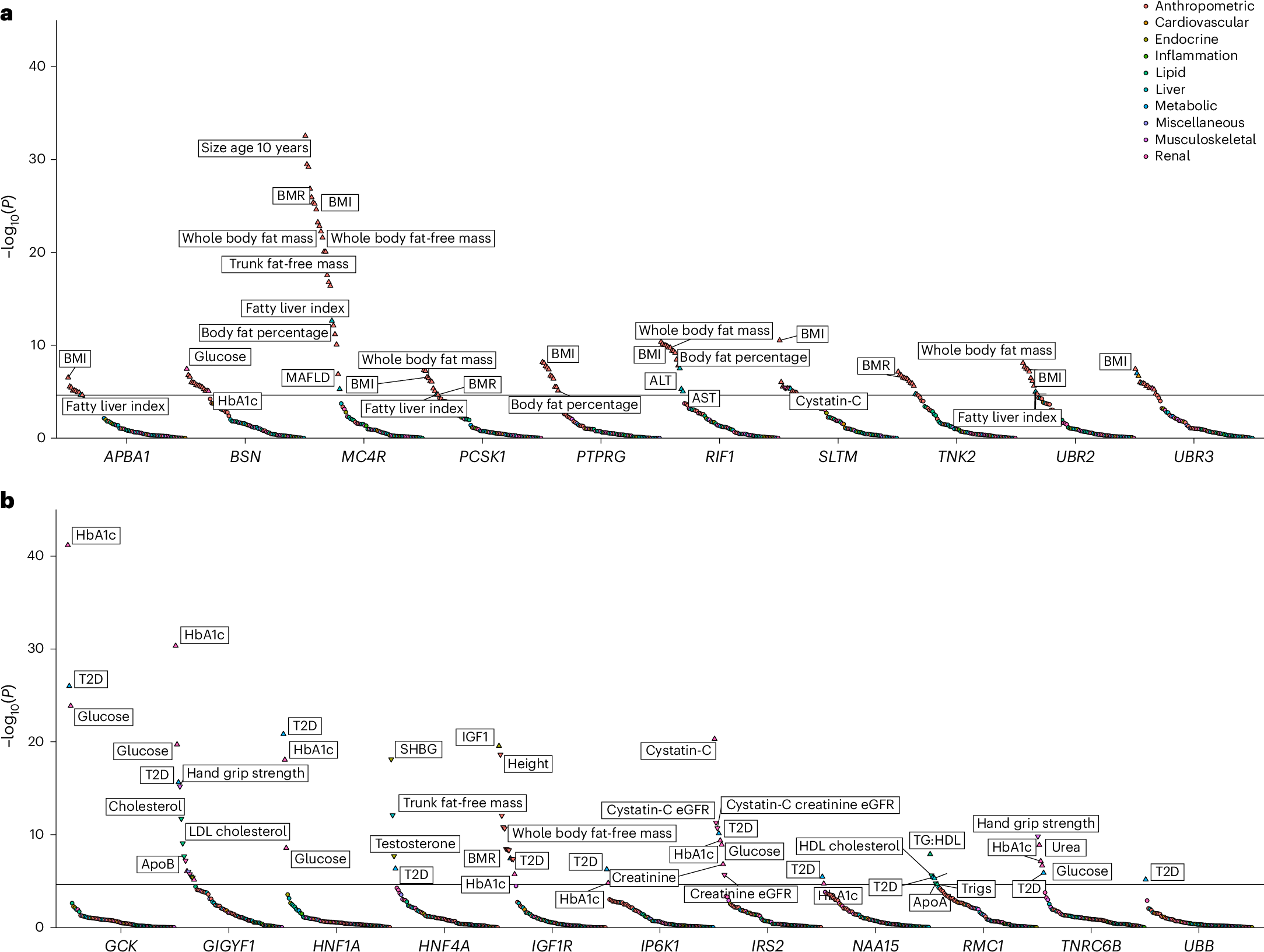 Fig. 3: PheWAS of BMI and T2D associated genes in UKBB.