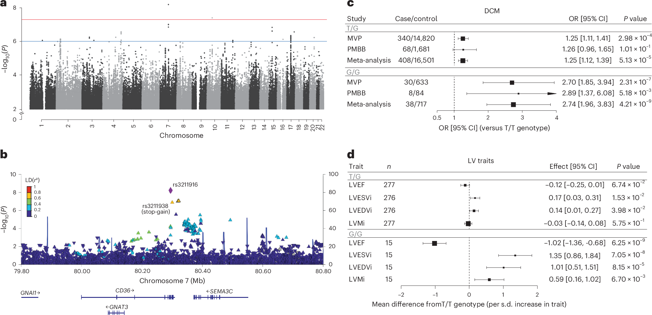 Fig. 1: Association of CD36 locus with DCM and validation of 
                        rs3211938
                        
                       in left ventricular phenotypes among AFR individuals.