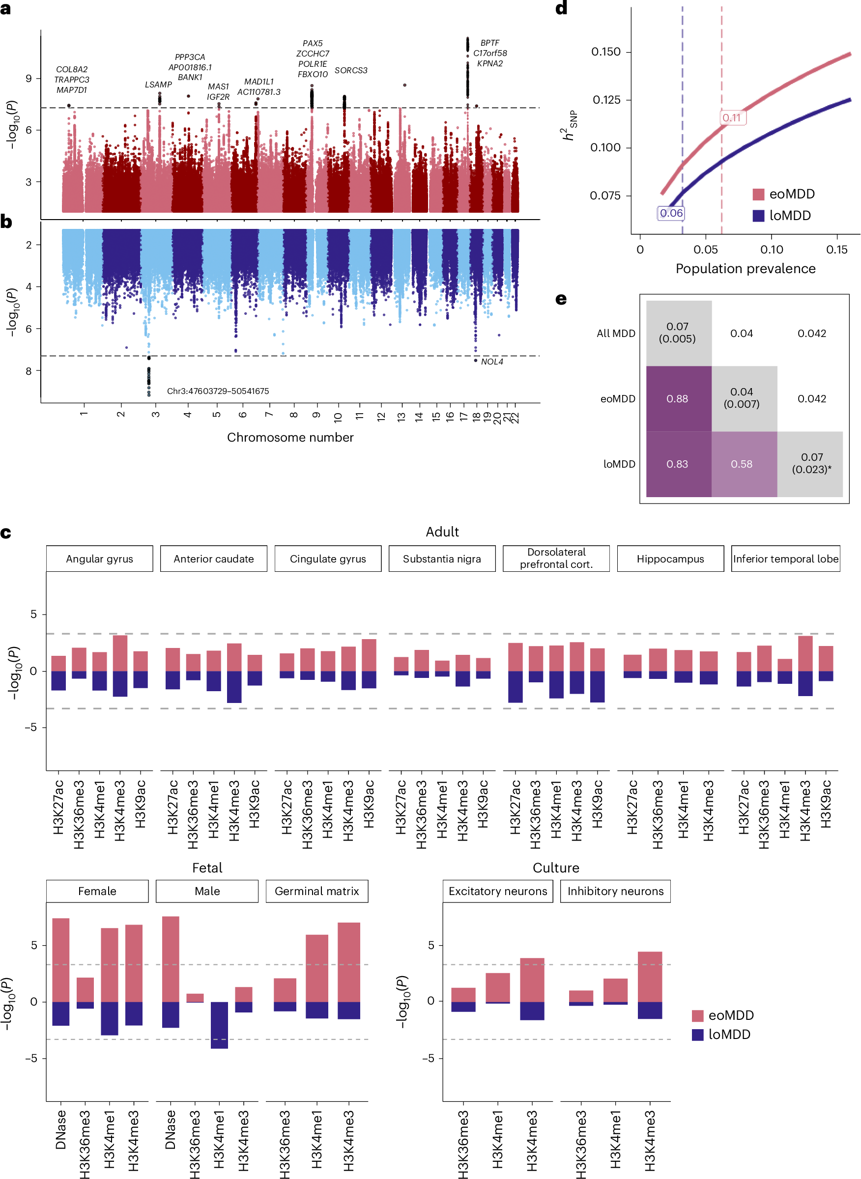 Fig. 2: MDD subtype GWAS meta-analysis in the Nordic cohorts and SNP heritability.