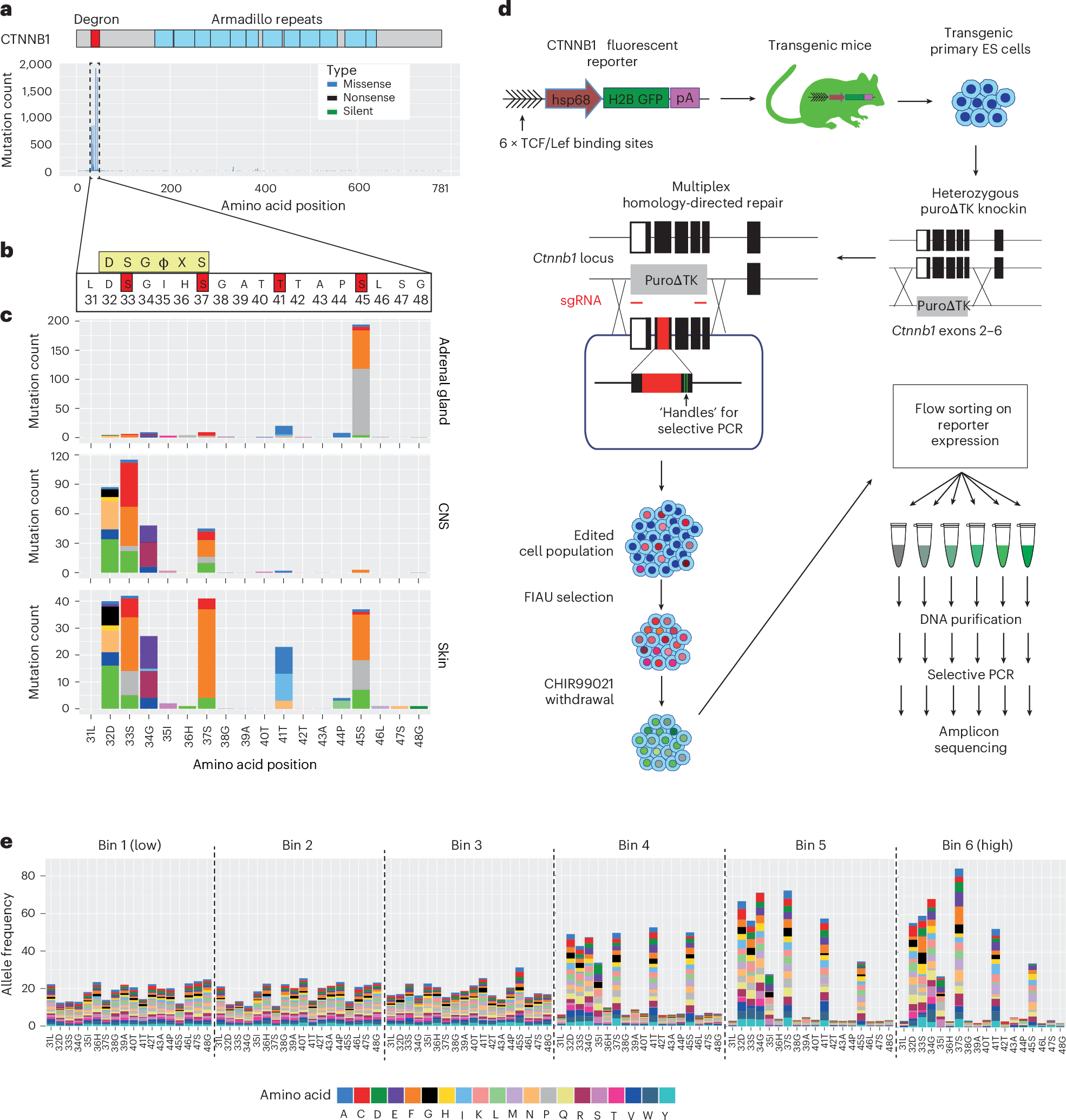がん変異の影響を可視化する新マップを作成 (New map reveals cancer mutation effects)