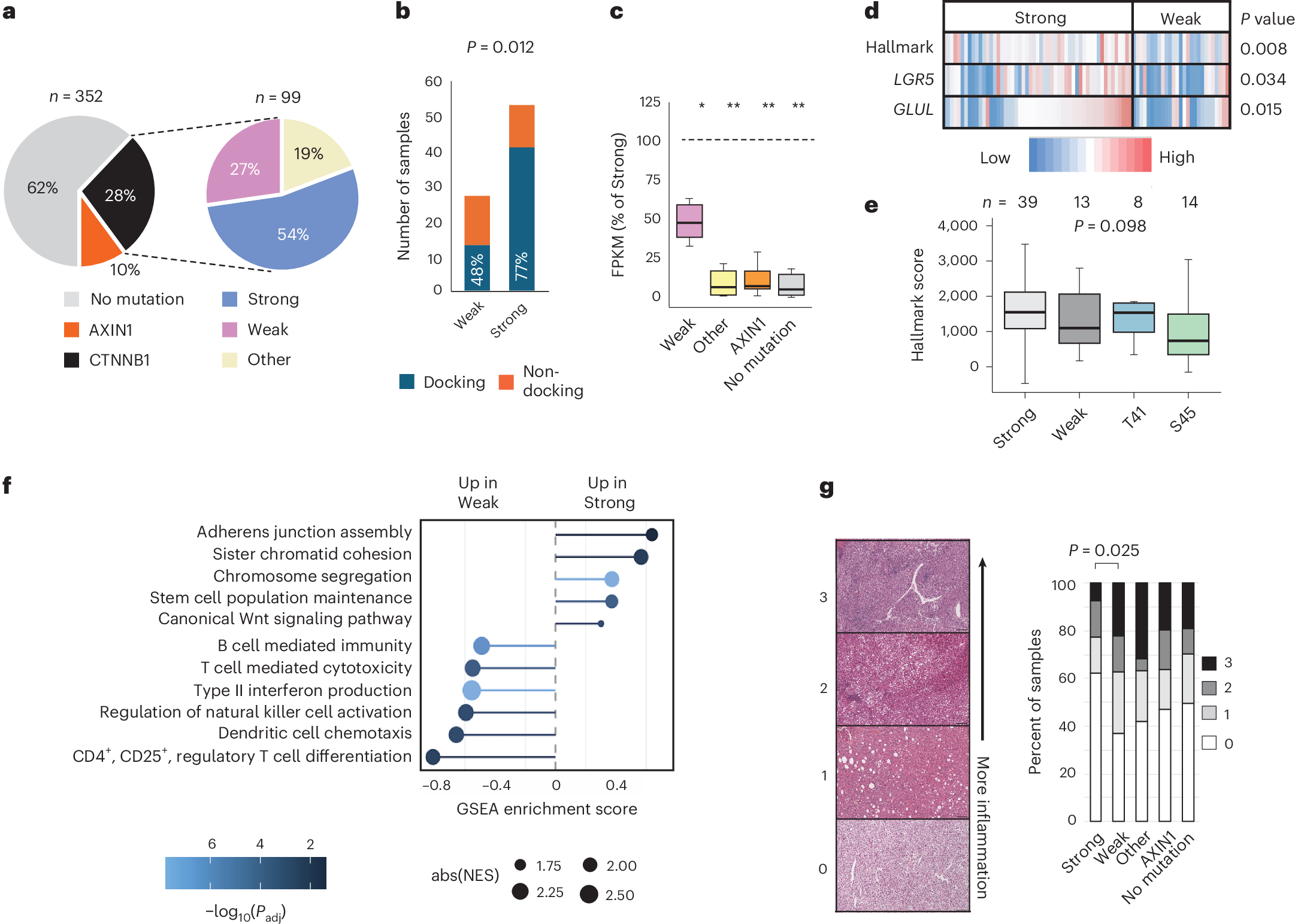 Fig. 5: CTNNB1 mutation effect scores predict signaling activation and immune exclusion in HCC.