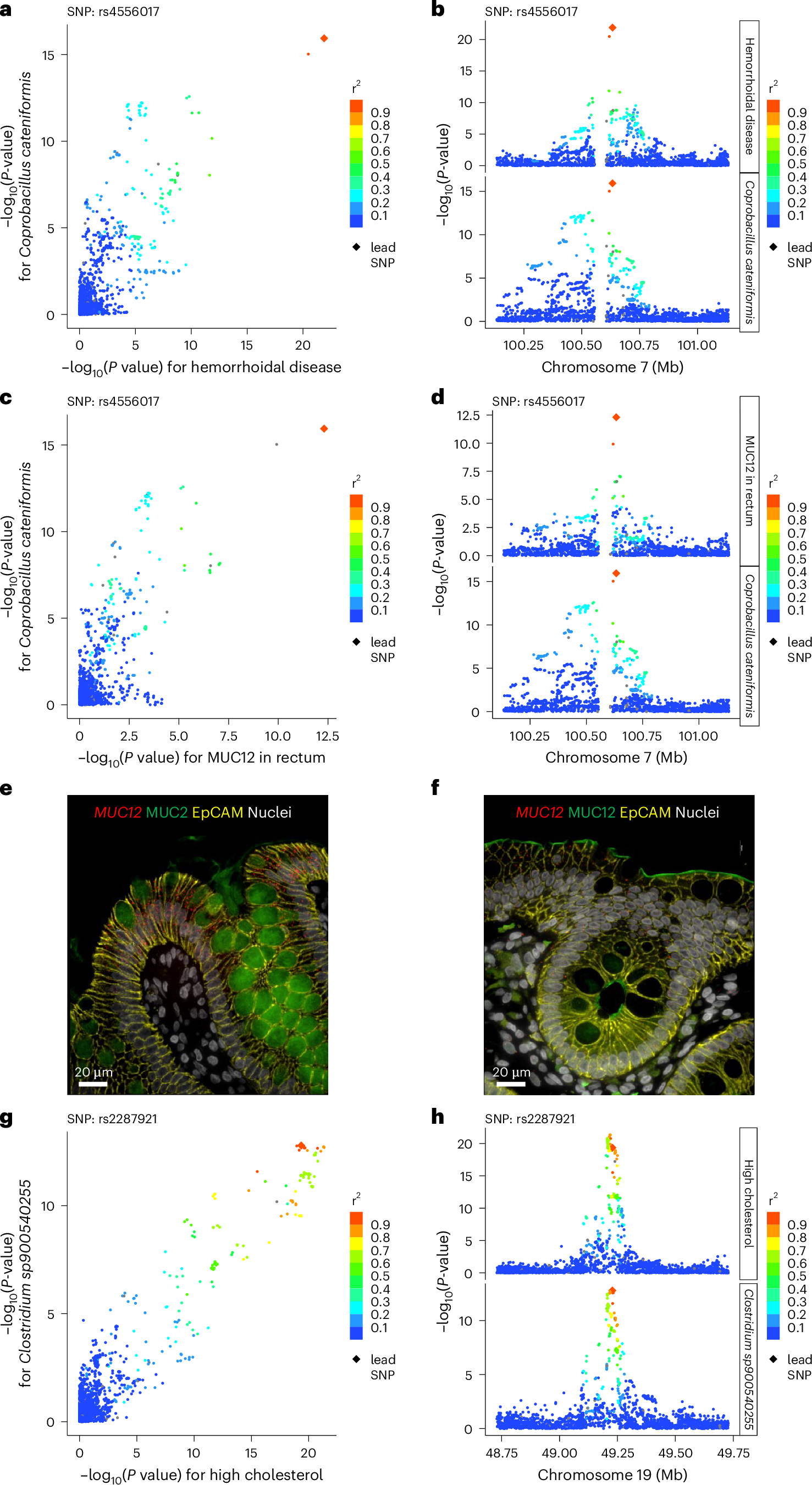 Fig. 3: Follow-up analyses of some novel genetic signals with possible implications for associated diseases.