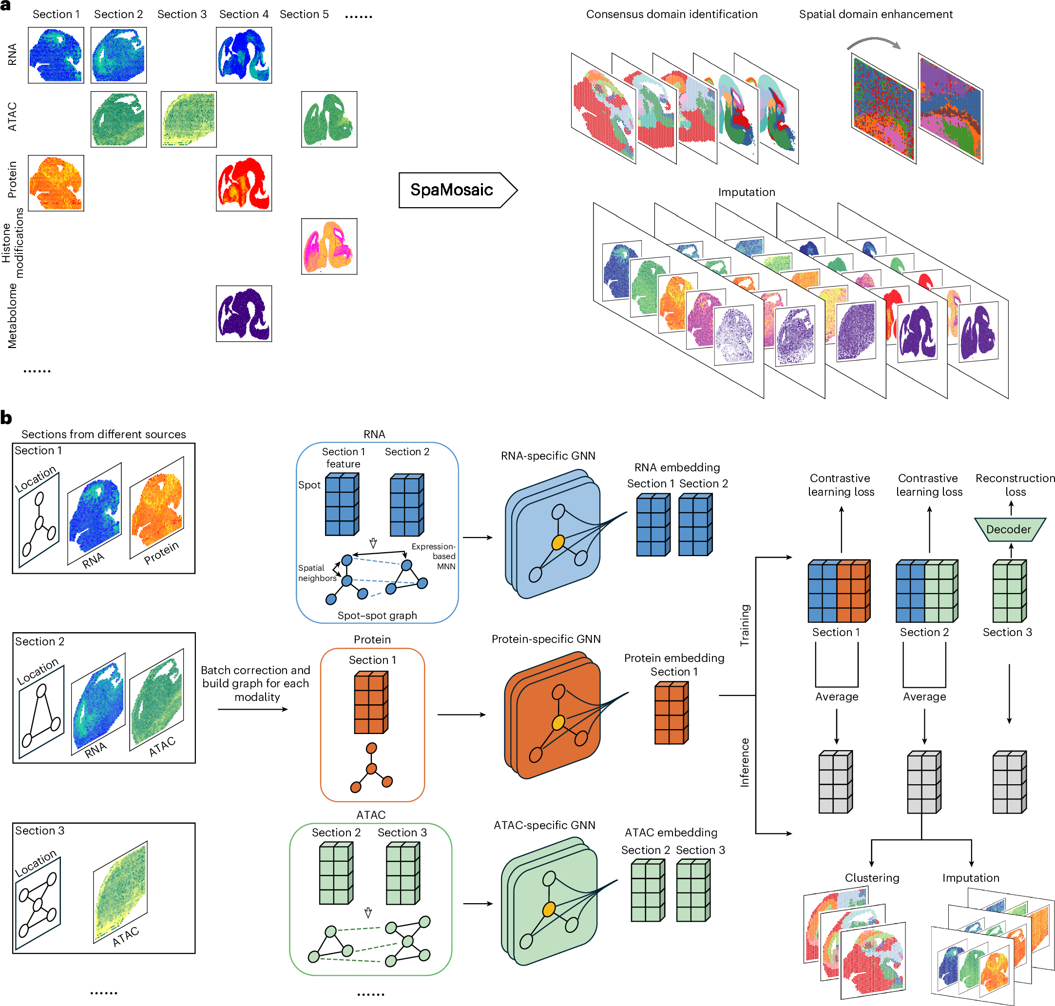 Mosaic integration of spatial multi-omics with SpaMosaic | Nature Genetics Mosaic integration of spatial multi-omics with SpaMosaic | Nature Genetics