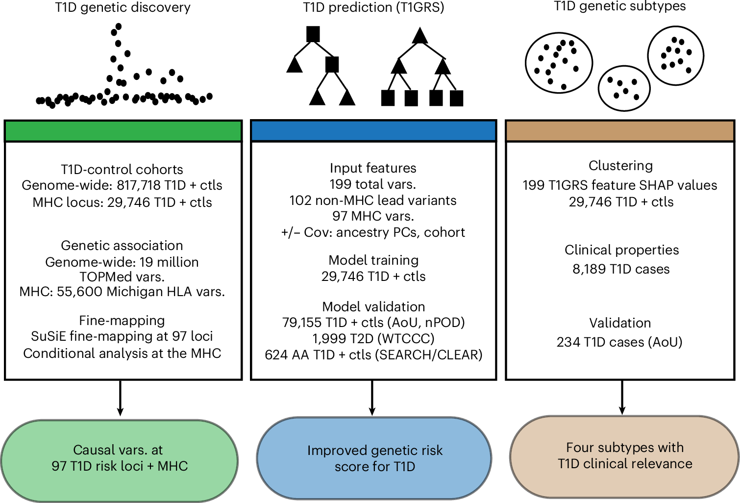 機械学習により1型糖尿病の遺伝リスク予測精度が向上（Predicting genetic risk for Type 1 diabetes just got more accurate）