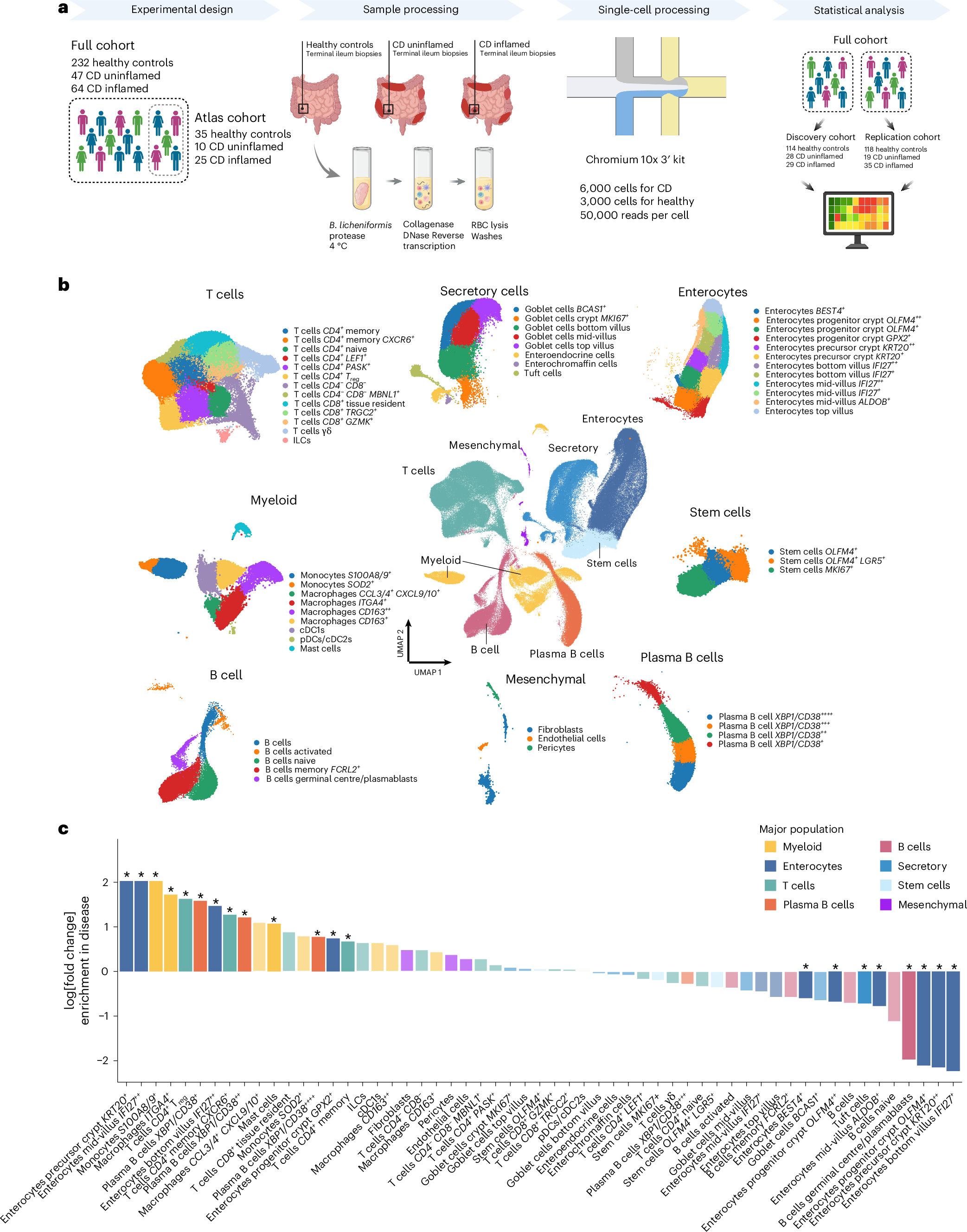 Fig. 1: Single-cell expression atlas for the terminal ileum in healthy controls and patients with CD.