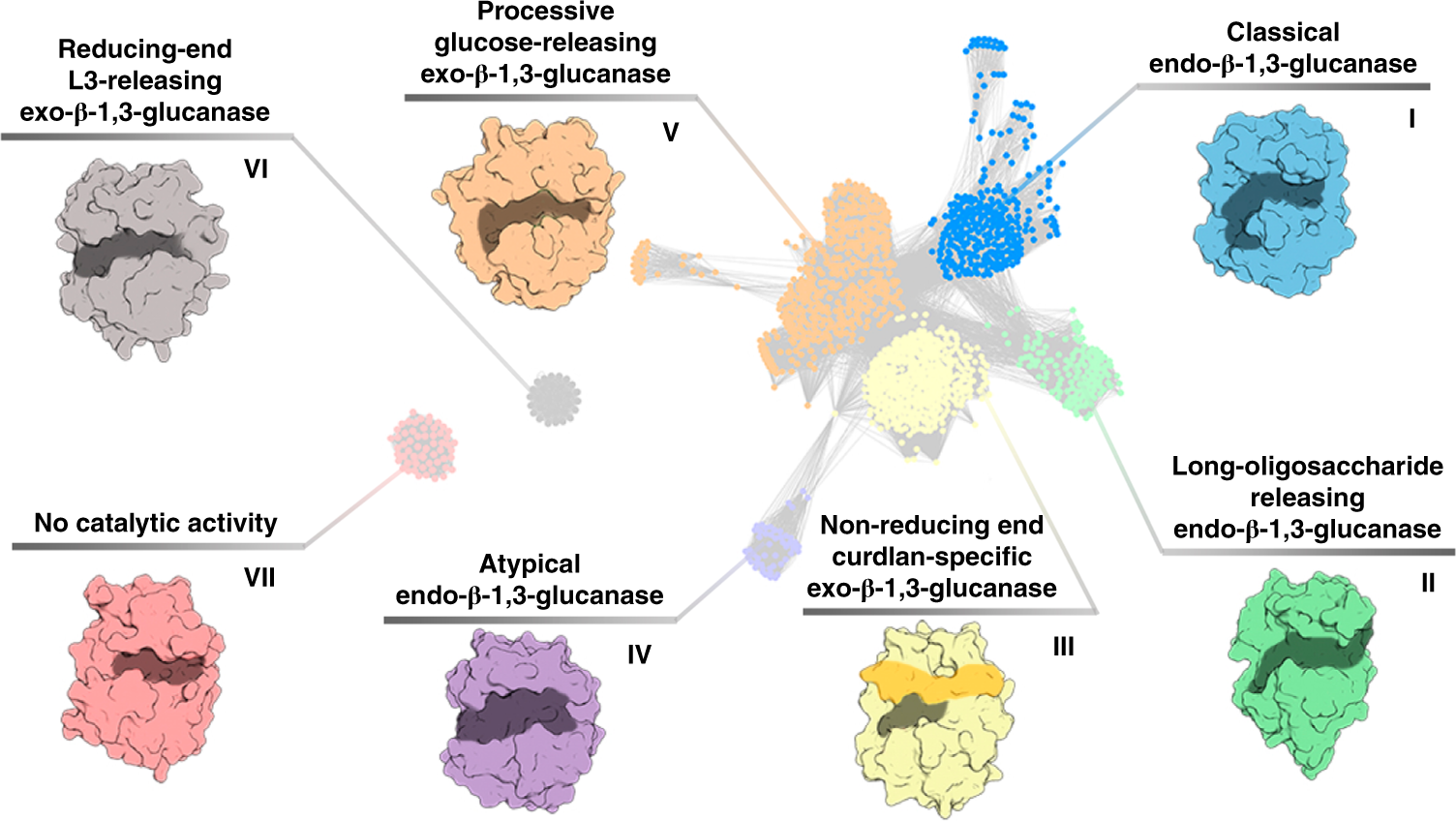 Structural Insights Into B 1 3 Glucan Cleavage By A Glycoside Hydrolase Family Nature Chemical Biology Structural Insights Into B 1 3 Glucan Cleavage By A Glycoside Hydrolase Family Nature Chemical Biology