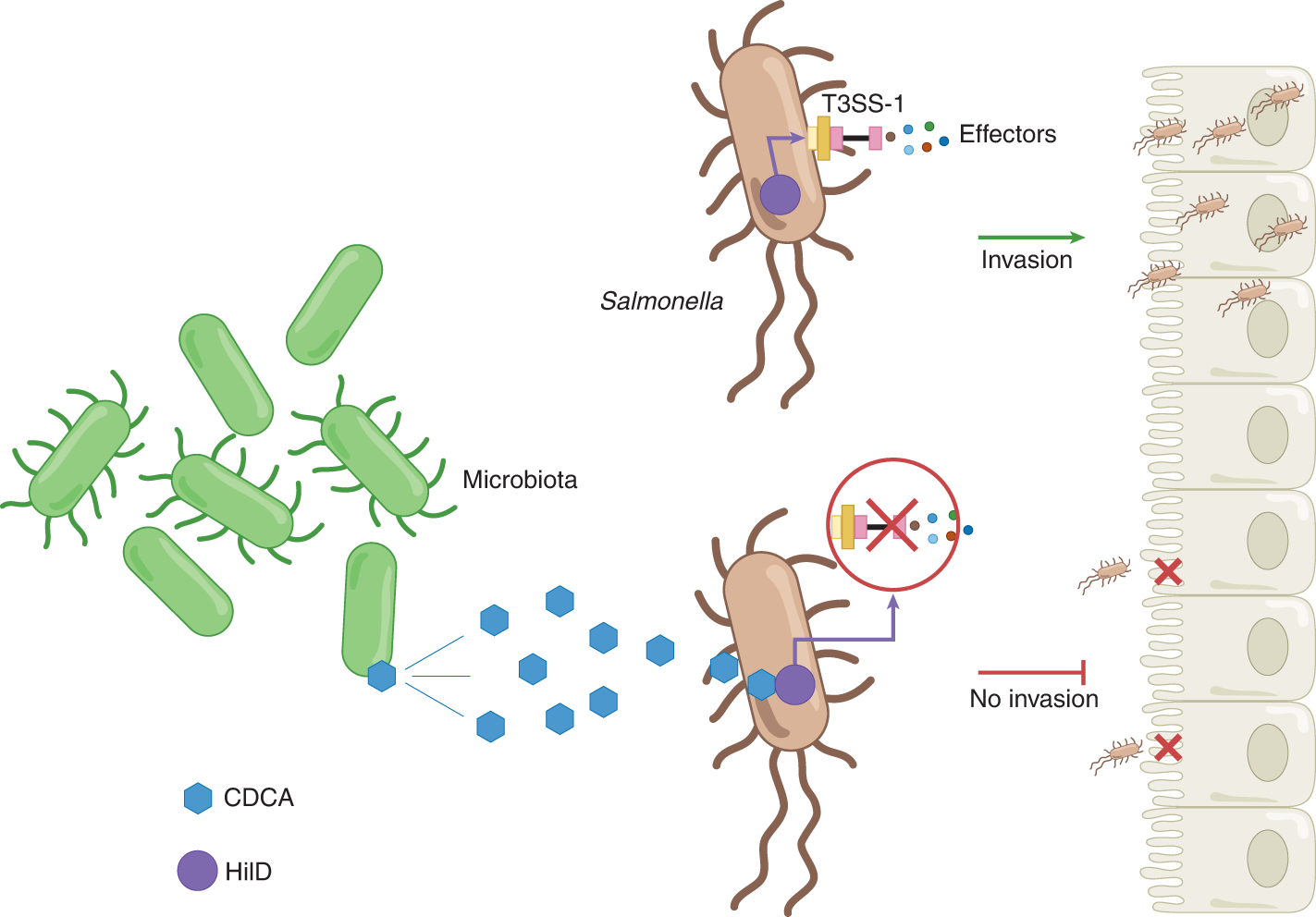 Pathogens, Free Full-Text