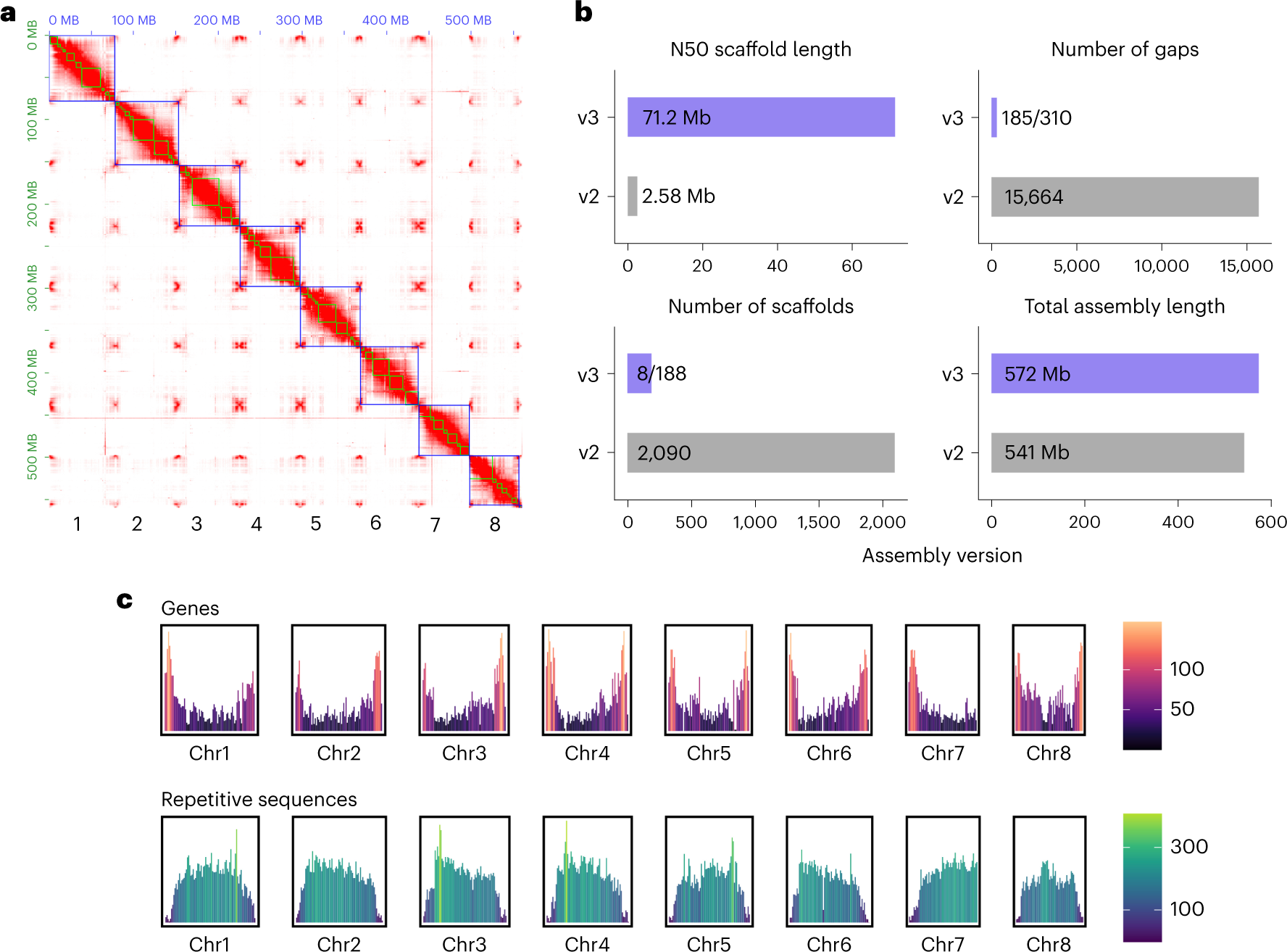 Fig. 2: Chromosome-scale assembly and annotation of Catharanthus roseus.