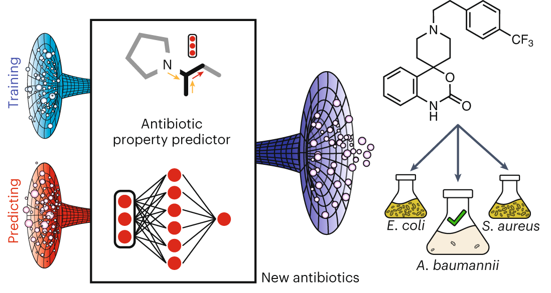  Deep learning-guided discovery of an antibiotic targeting Acinetobacter baumannii 