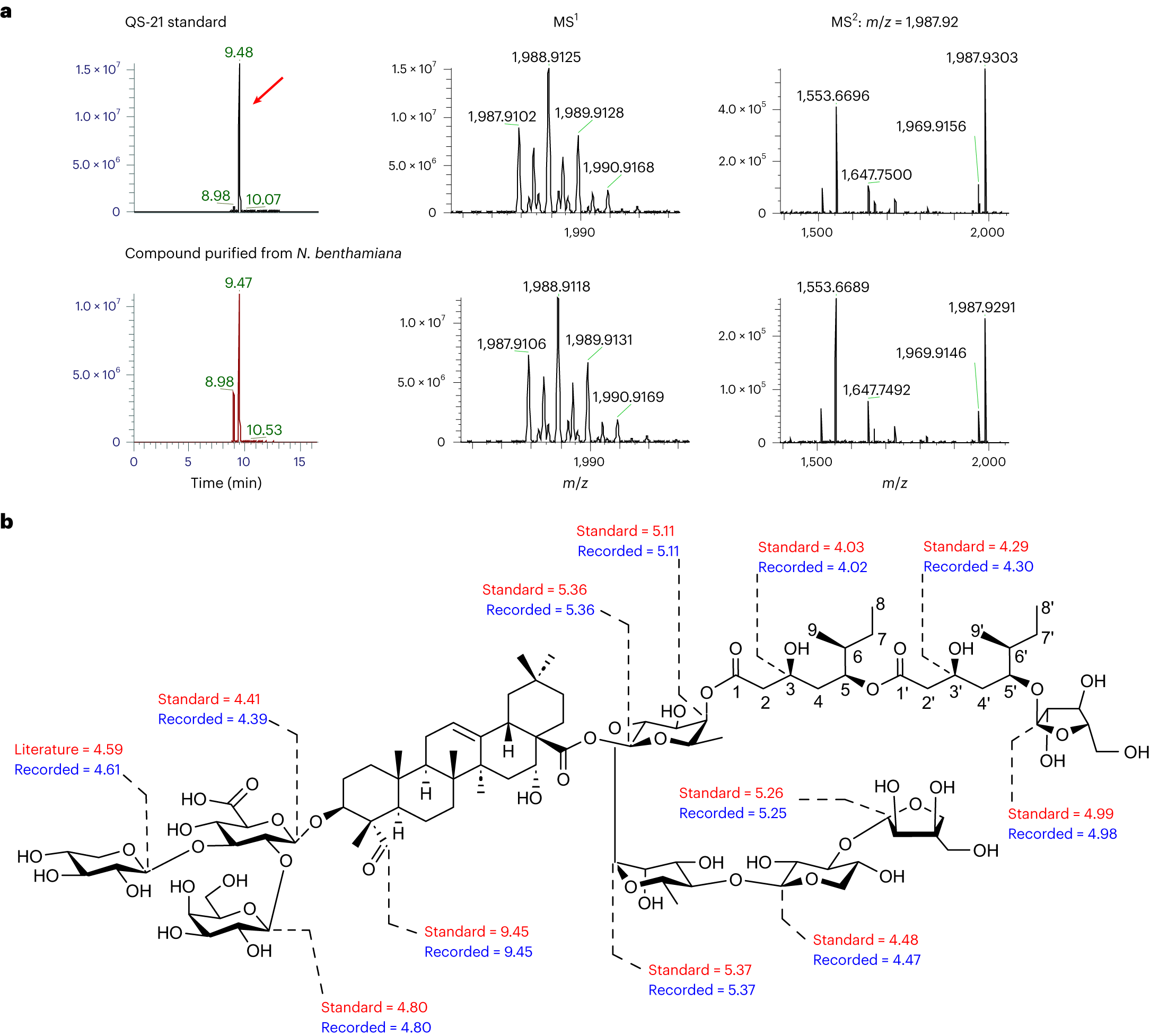 Fig. 5: Production of QS-21 (1) in N. benthamiana.