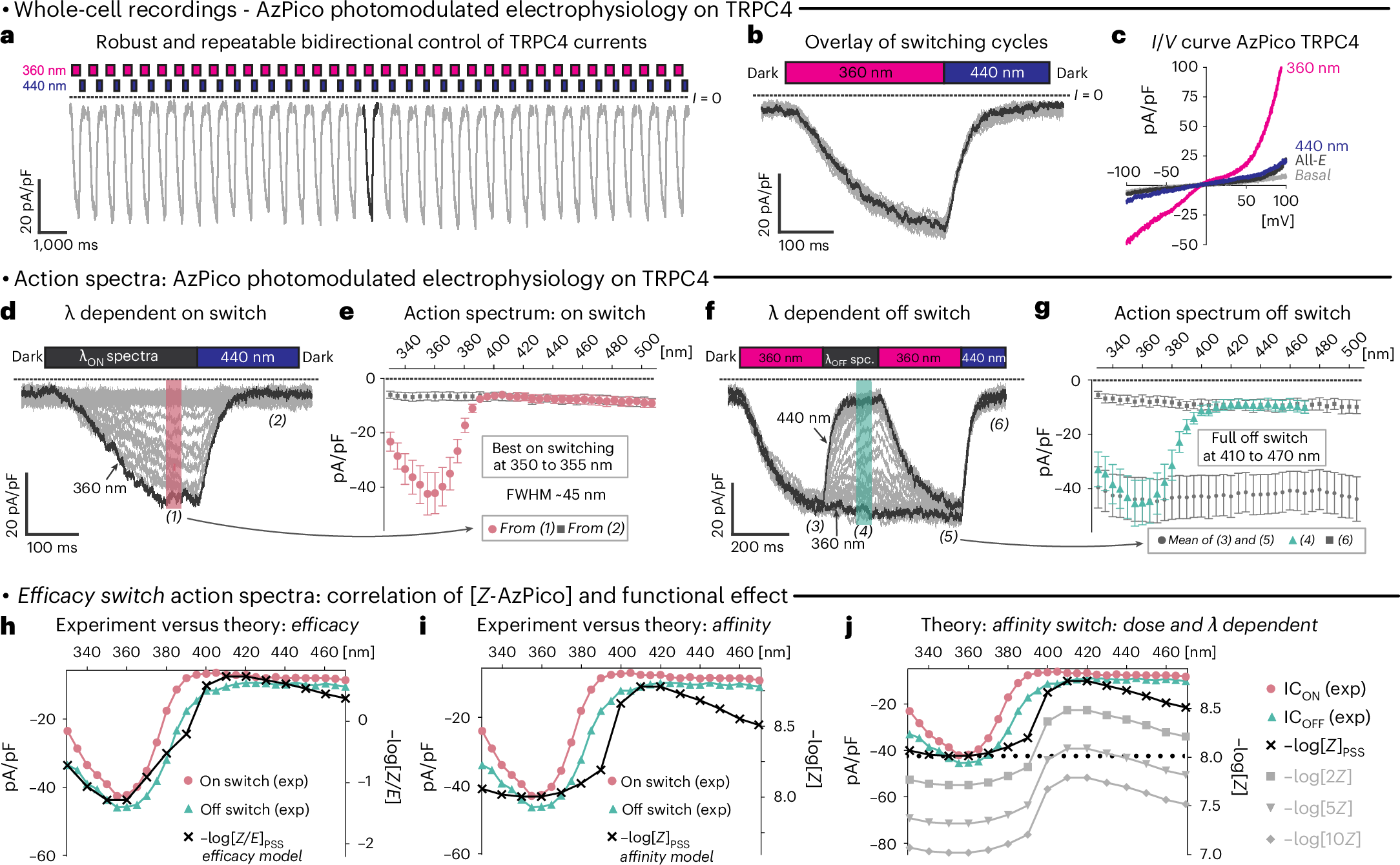 Fig. 2: AzPico-chromocontrolled electrophysiology of TRPC4.