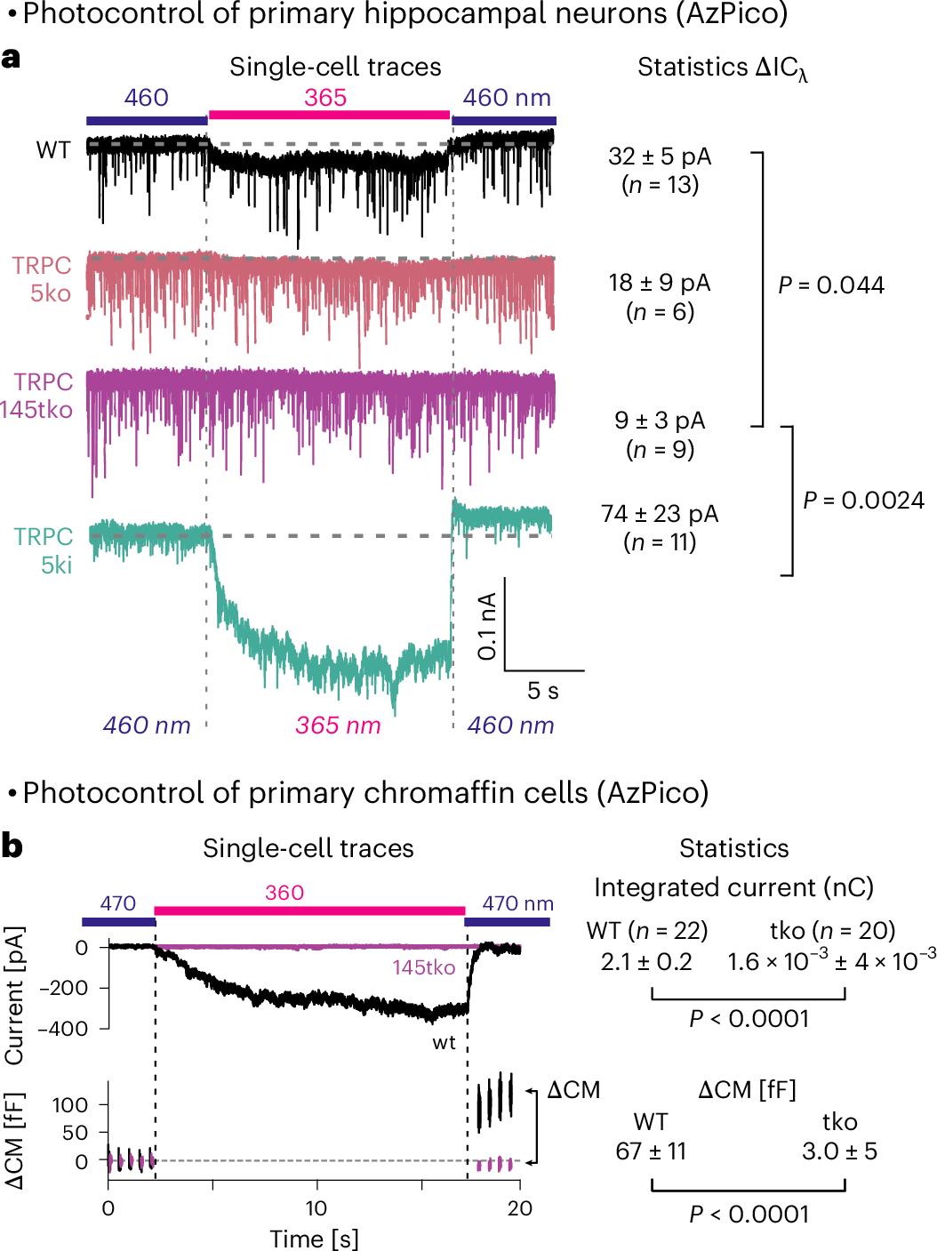 Fig. 4: AzPico (30 nM) photoswitchably evokes currents in primary neuronal and neuroendocrine cells.