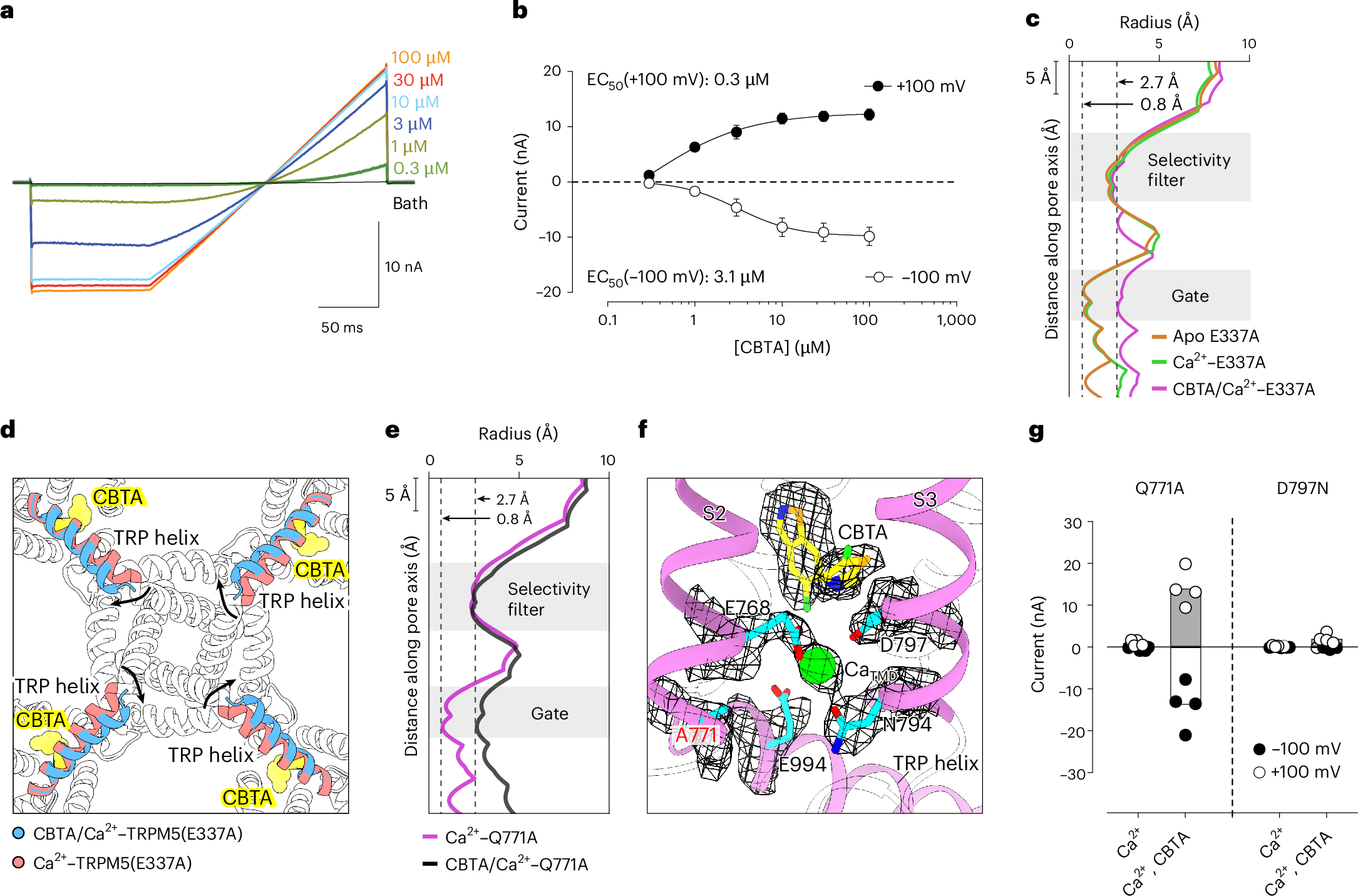 Fig. 5: CBTA-mediated agonism does not require CaICD.