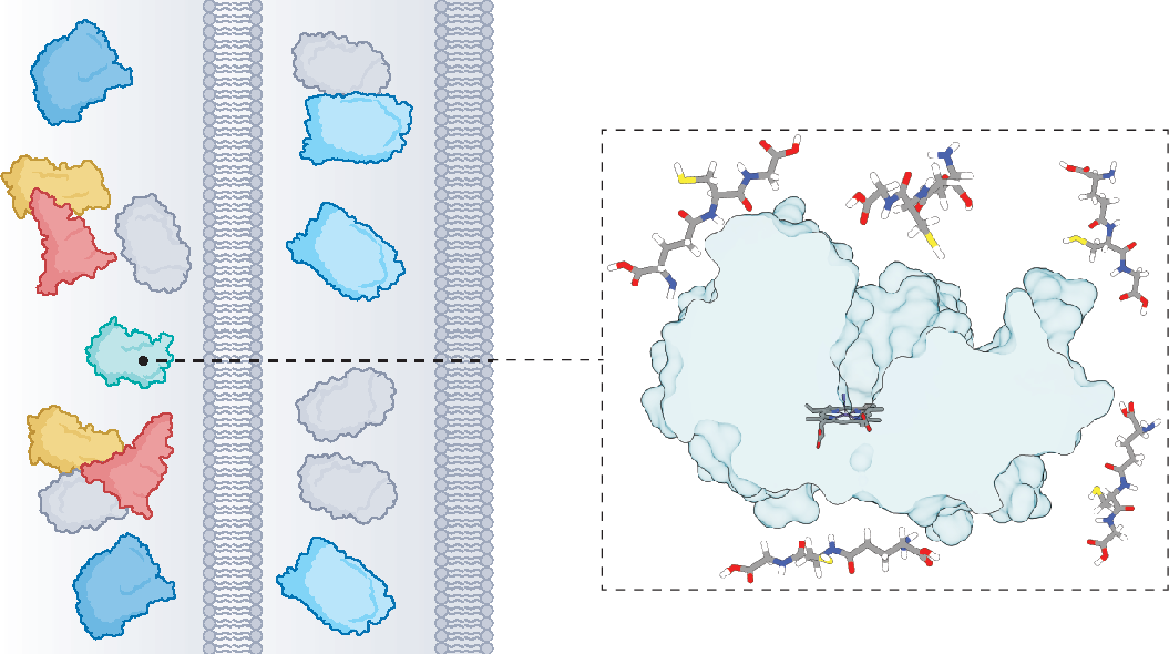 neutralizing the detrimental effect of glutathione on precious metal catalysts Taming potentiates metallodrug action Artificial metalloenzymes in complex biological