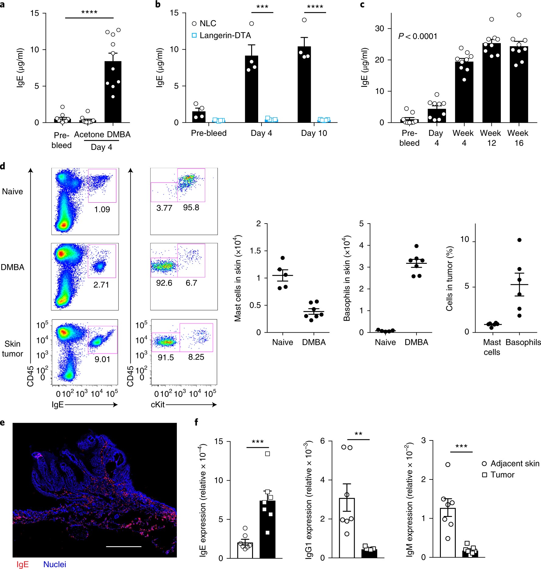 Epithelial damage and tissue γδ T cells promote a unique tumor-protective  IgE response | Nature Immunology