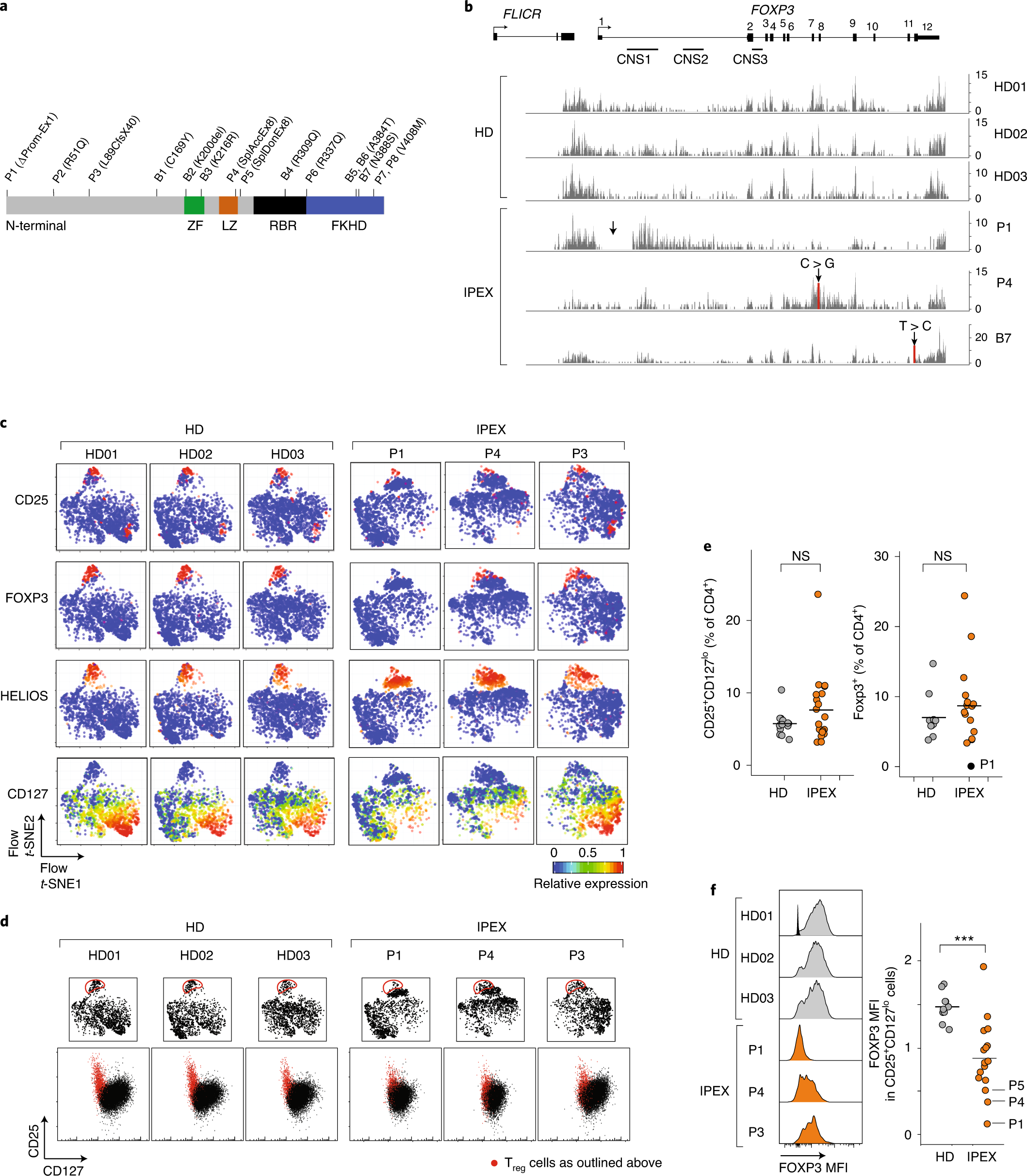 Single Cell Analysis Of Foxp3 Deficiencies In Humans And Mice Unmasks Intrinsic And Extrinsic Cd4 T Cell Perturbations Nature Immunology