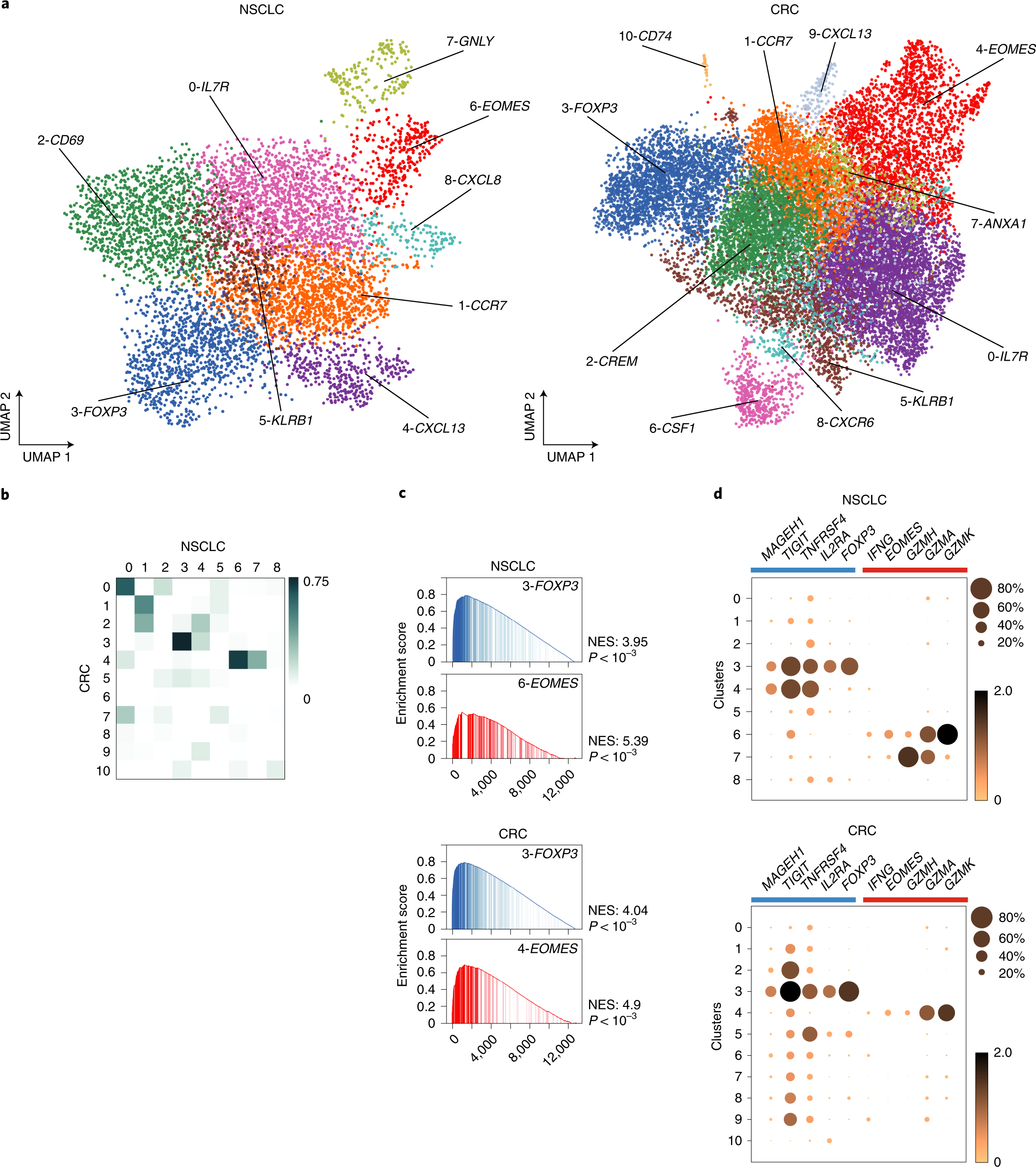 Clonally expanded EOMES+ Tr1-like cells in primary and metastatic tumors  are associated with disease progression | Nature Immunology