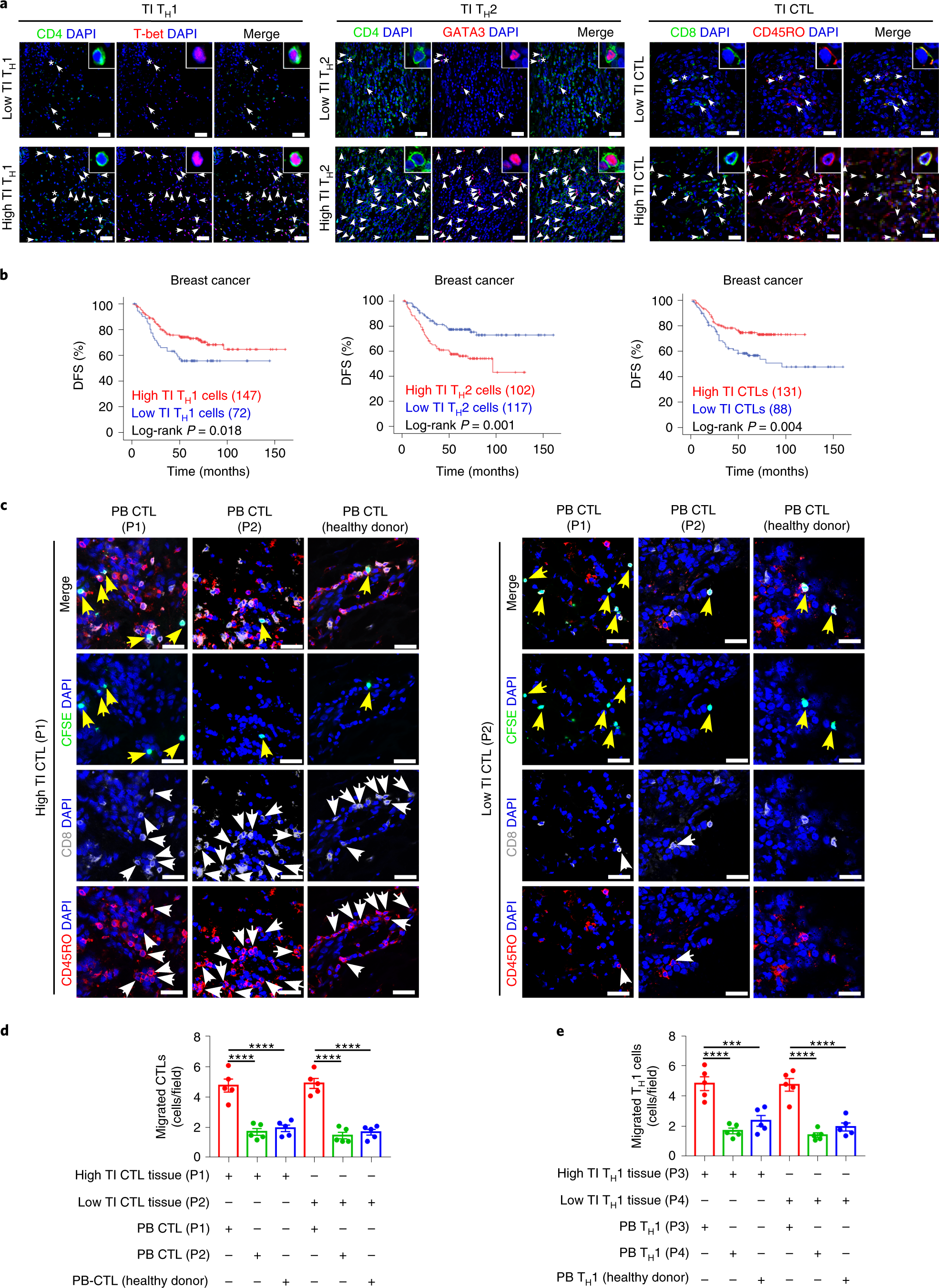 Targeting Regulator Of G Protein Signaling 1 In Tumor Specific T Cells Enhances Their Trafficking To Breast Cancer Nature Immunology