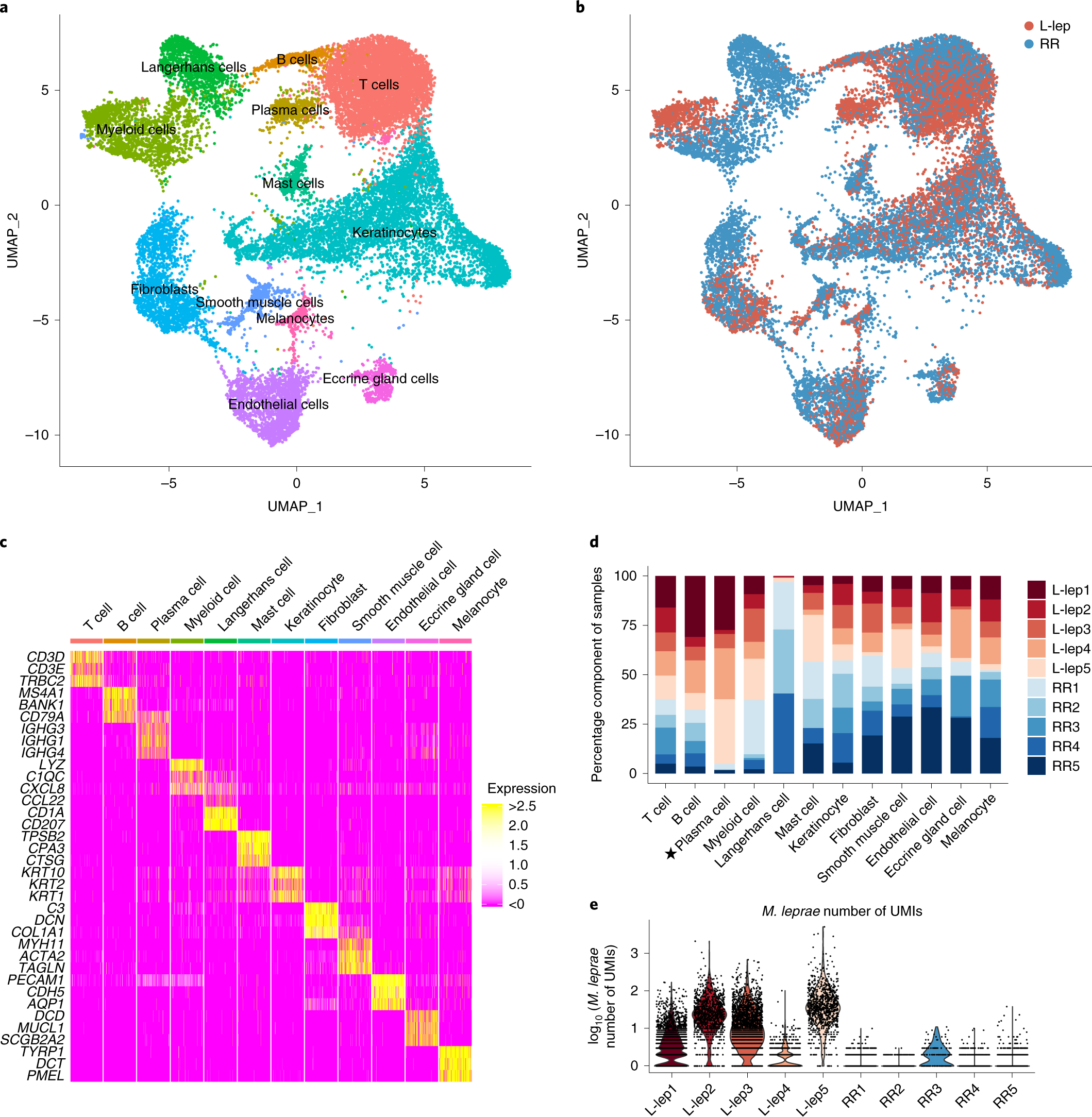 The Cellular Architecture Of The Antimicrobial Response Network In Human Leprosy Granulomas Nature Immunology