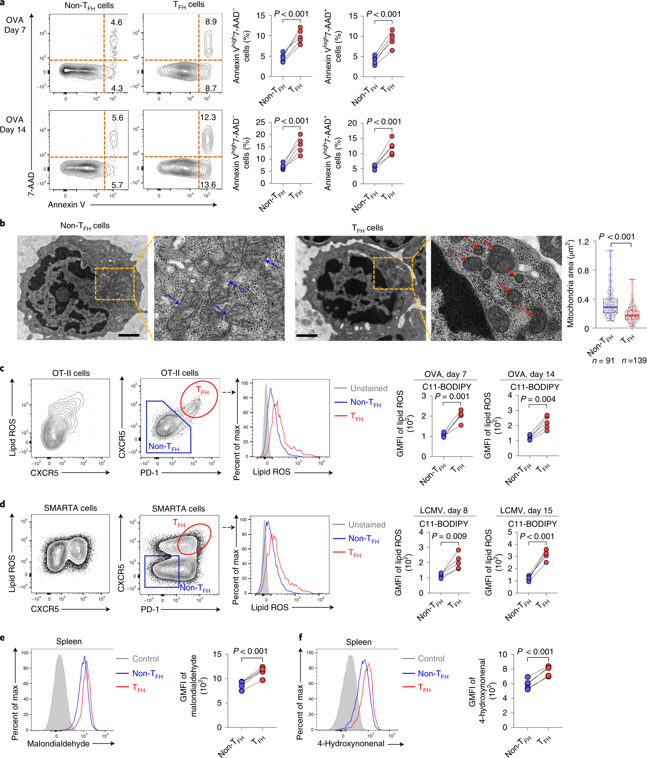 Selenium Gpx4 Axis Protects Follicular Helper T Cells From Ferroptosis Nature Immunology