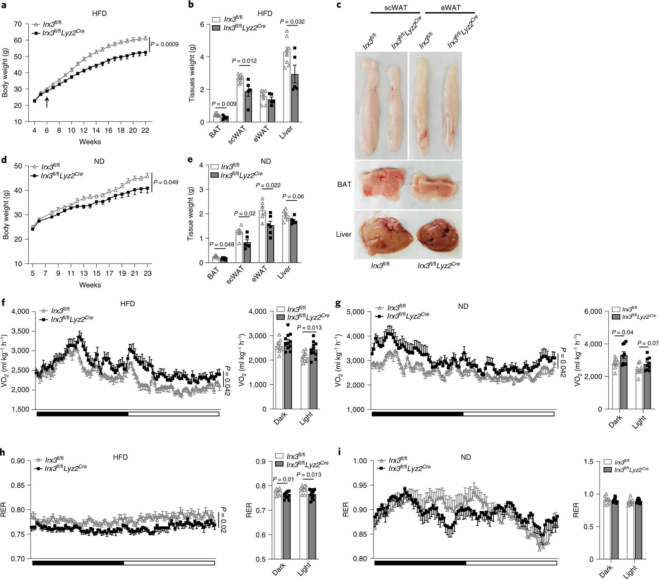 Macrophage Irx3 Promotes Diet Induced Obesity And Metabolic Inflammation Nature Immunology