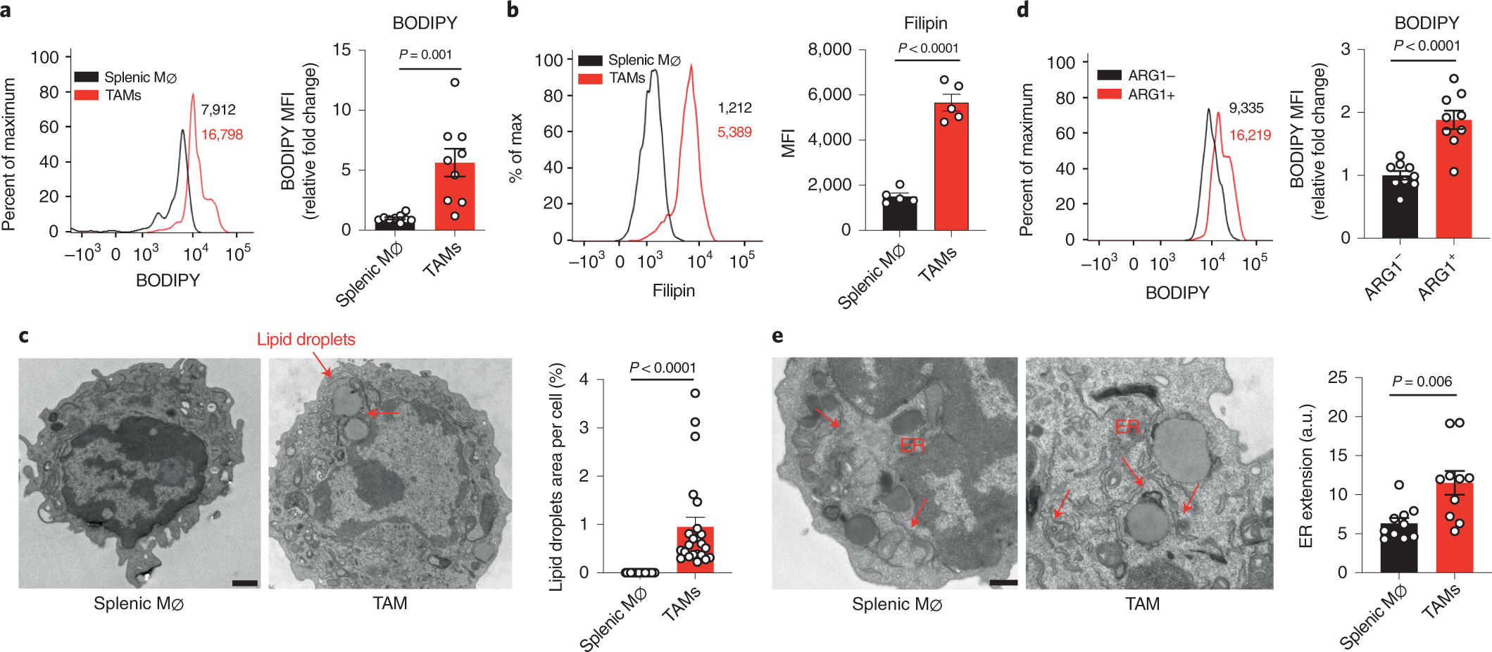 Tumor Induced Reshuffling Of Lipid Composition On The Endoplasmic Reticulum Membrane Sustains Macrophage Survival And Pro Tumorigenic Activity Nature Immunology