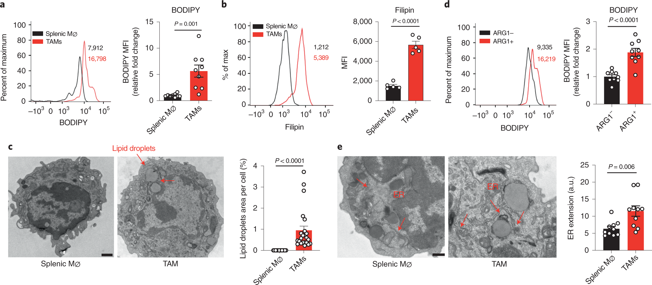 tumor induced reshuffling of lipid composition on the endoplasmic reticulum membrane sustains macrophage survival and pro tumorigenic activity nature immunology