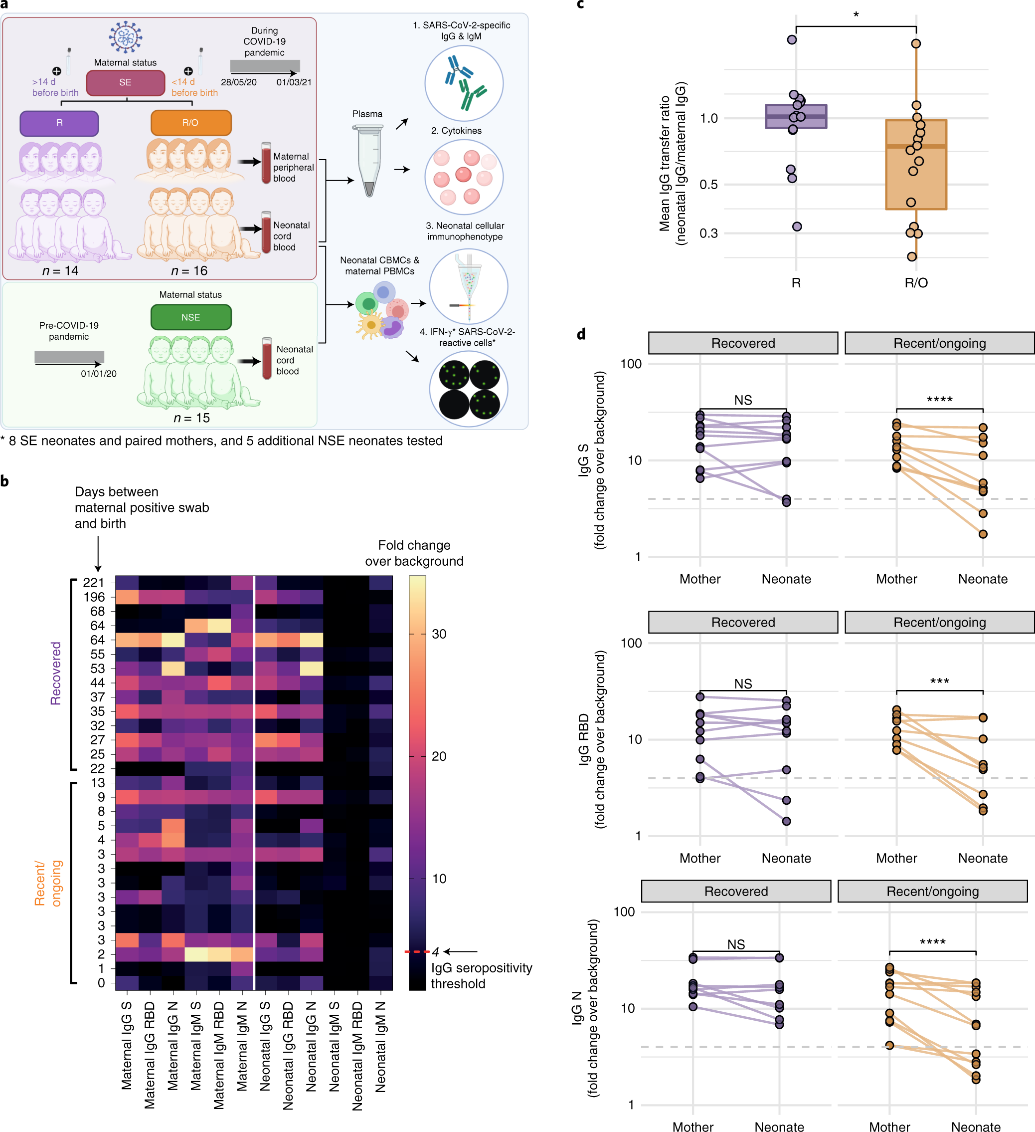 The Legacy Of Maternal Sars Cov 2 Infection On The Immunology Of The Neonate Nature Immunology