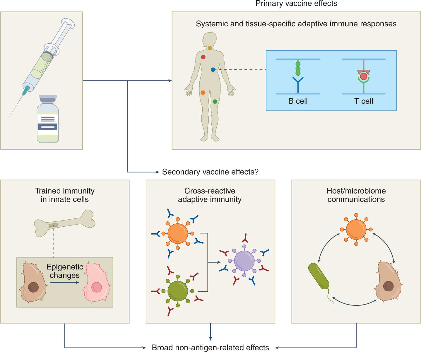 PDF) A web-based Child vaccination system in Bangladesh