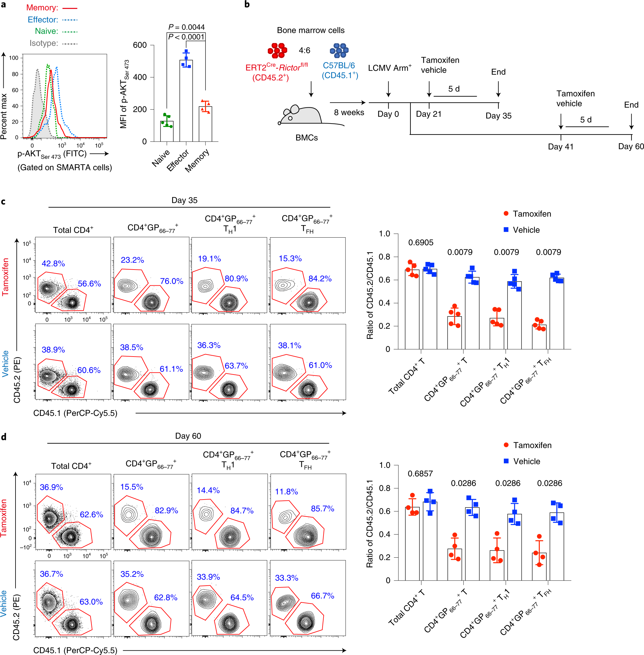 glutathione mtorc2 Adipocyte-derived promotes obesity-related breast cancer by regulating the SCARB2-ARF1-mTORC1 complex Post-translational modifications orchestrate mTOR-driven cell