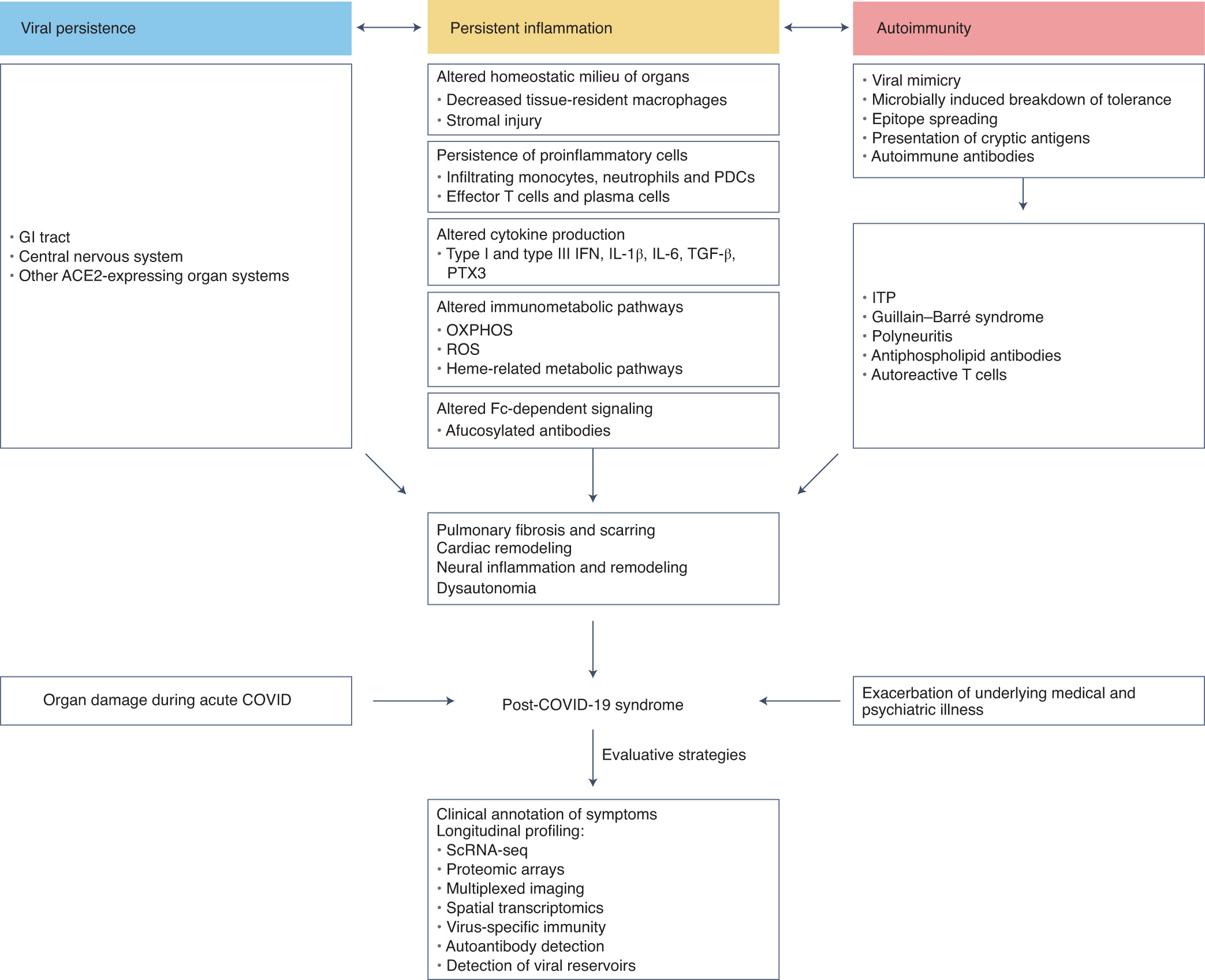 Pathological Sequelae Of Long Haul Covid Nature Immunology