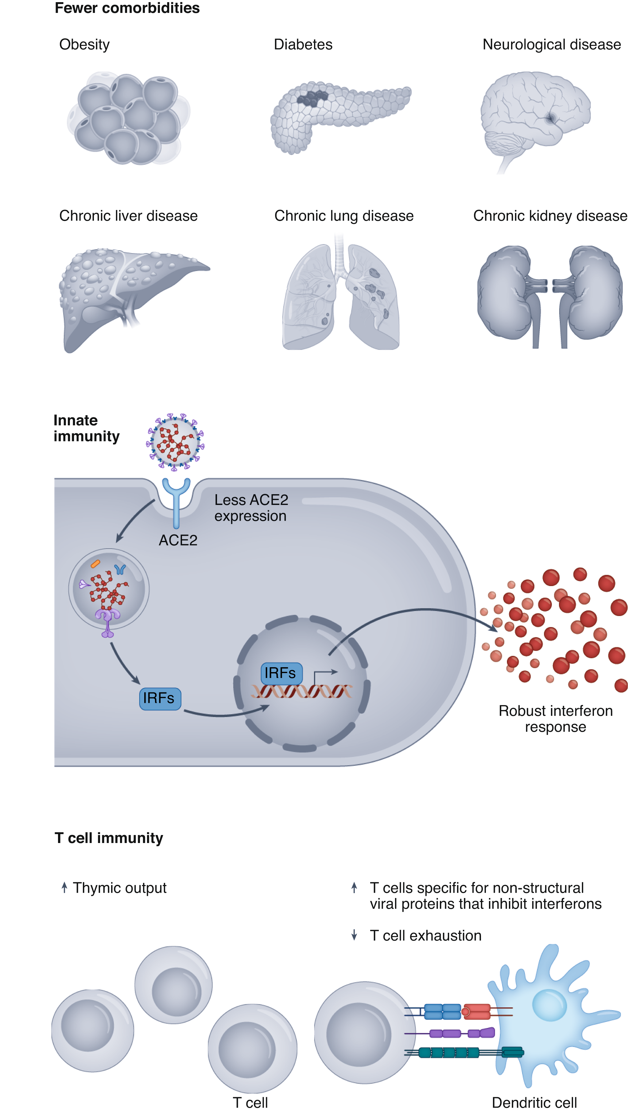 Immunology of SARS-CoV-2 infection in children | Nature Immunology