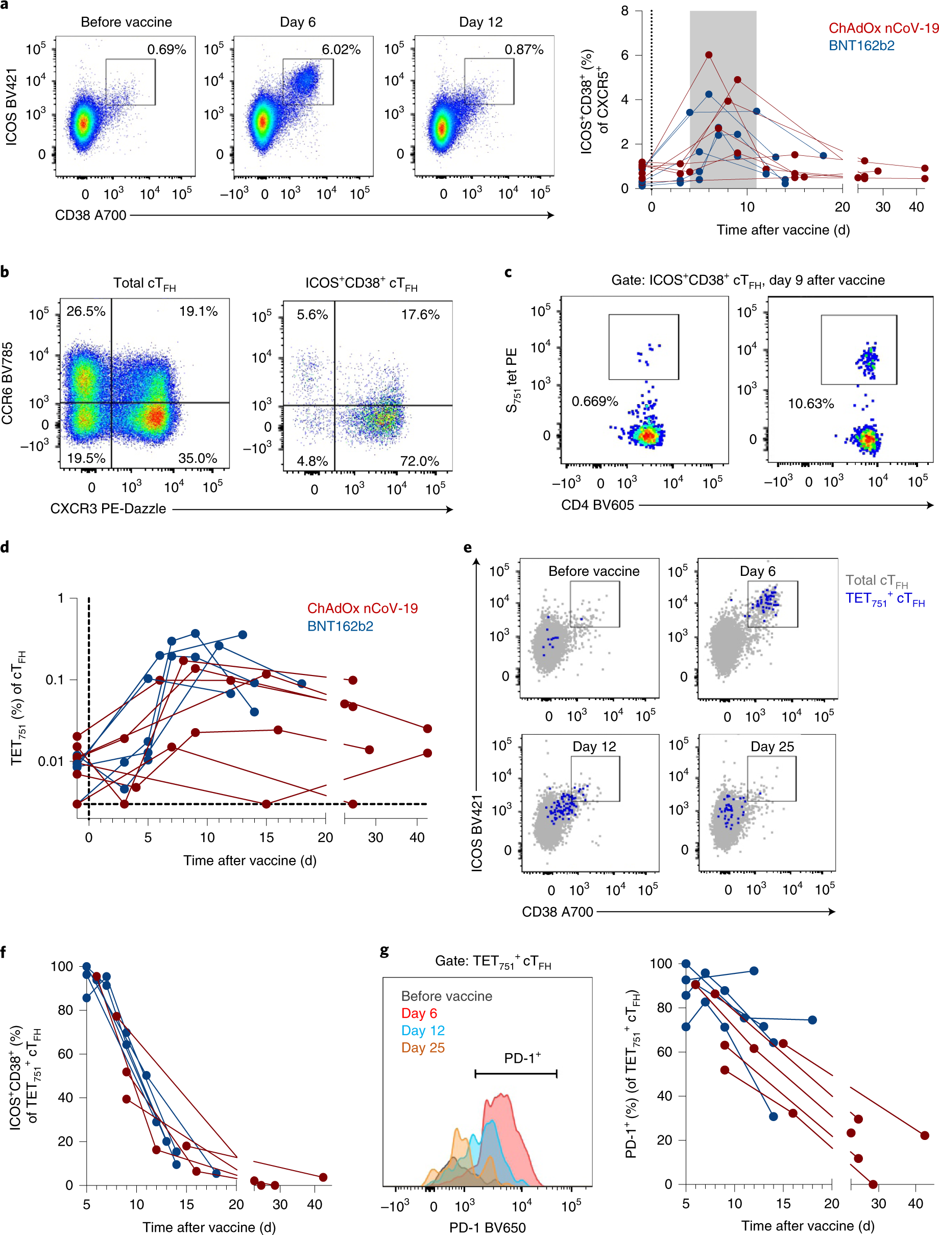 Fig. 7: Vaccine-associated recall of activated and S751-specific cTFH cells in convalescent individuals.