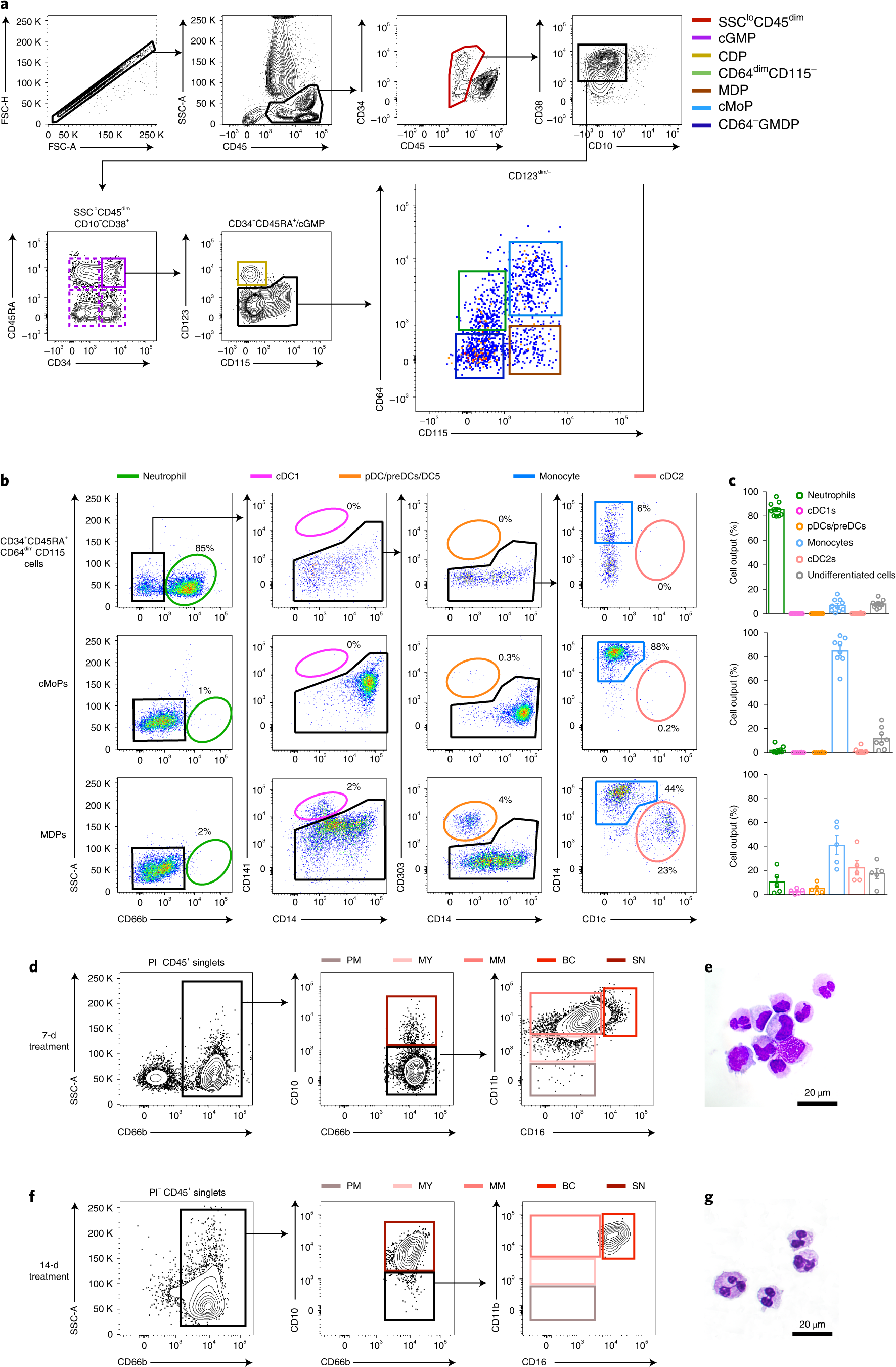CD66b−CD64dimCD115− cells in the human bone marrow represent  neutrophil-committed progenitors | Nature Immunology