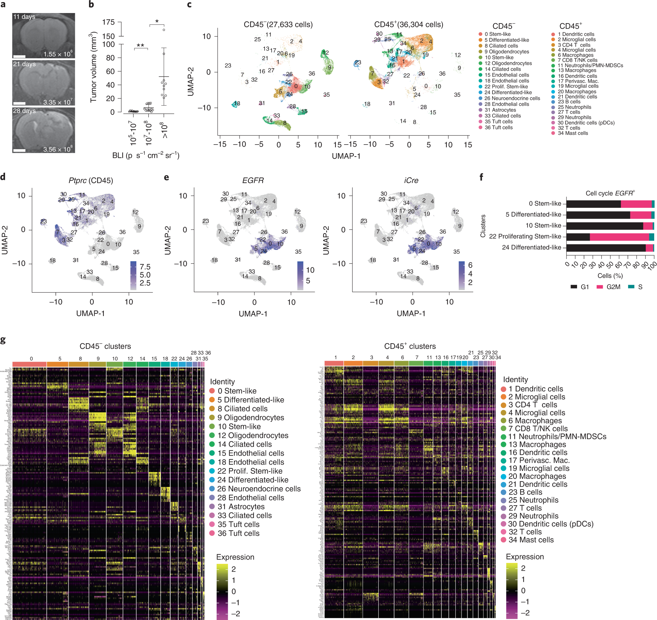 Single-cell RNA sequencing reveals evolution of immune landscape during  glioblastoma progression | Nature Immunology