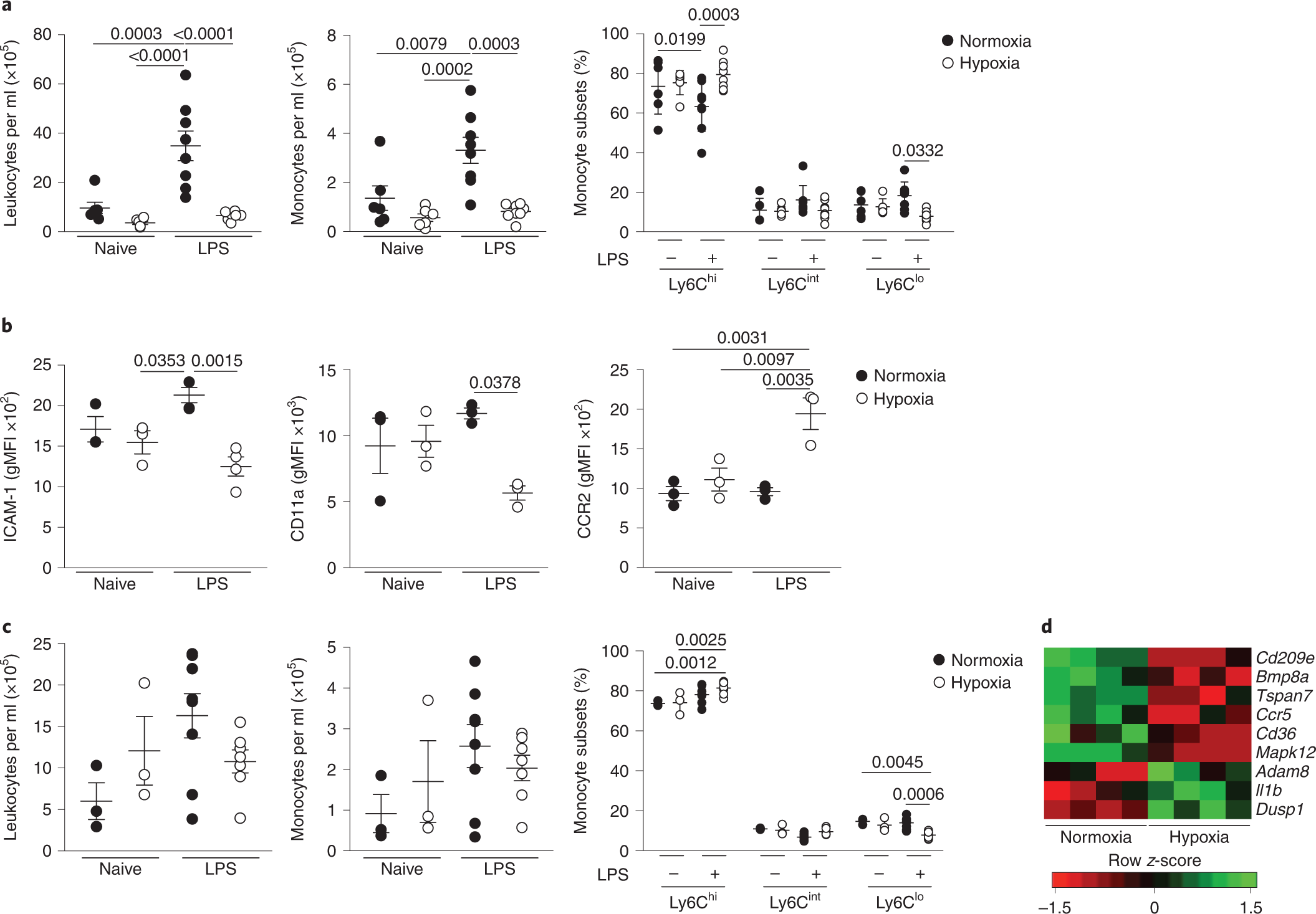 Fig. 2: Hypoxic acute lung injury replicates early monocytopenia in mice and alters the circulating monocyte phenotype.