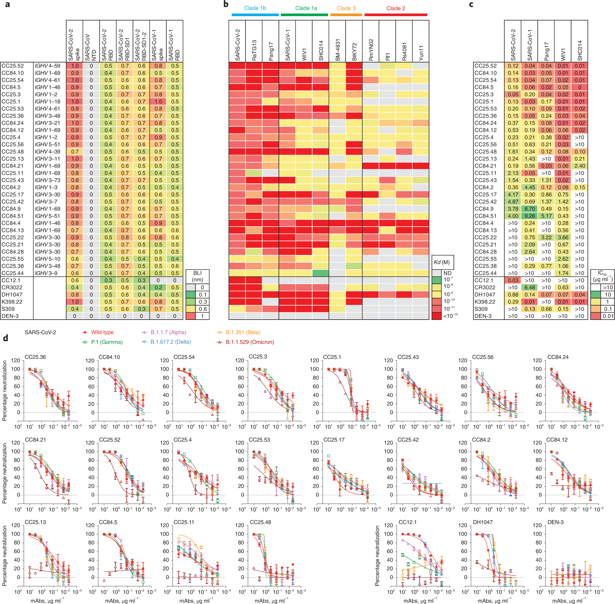 Fig. 3: Binding and neutralization of mAbs in terms of affinity, potency and breadth.