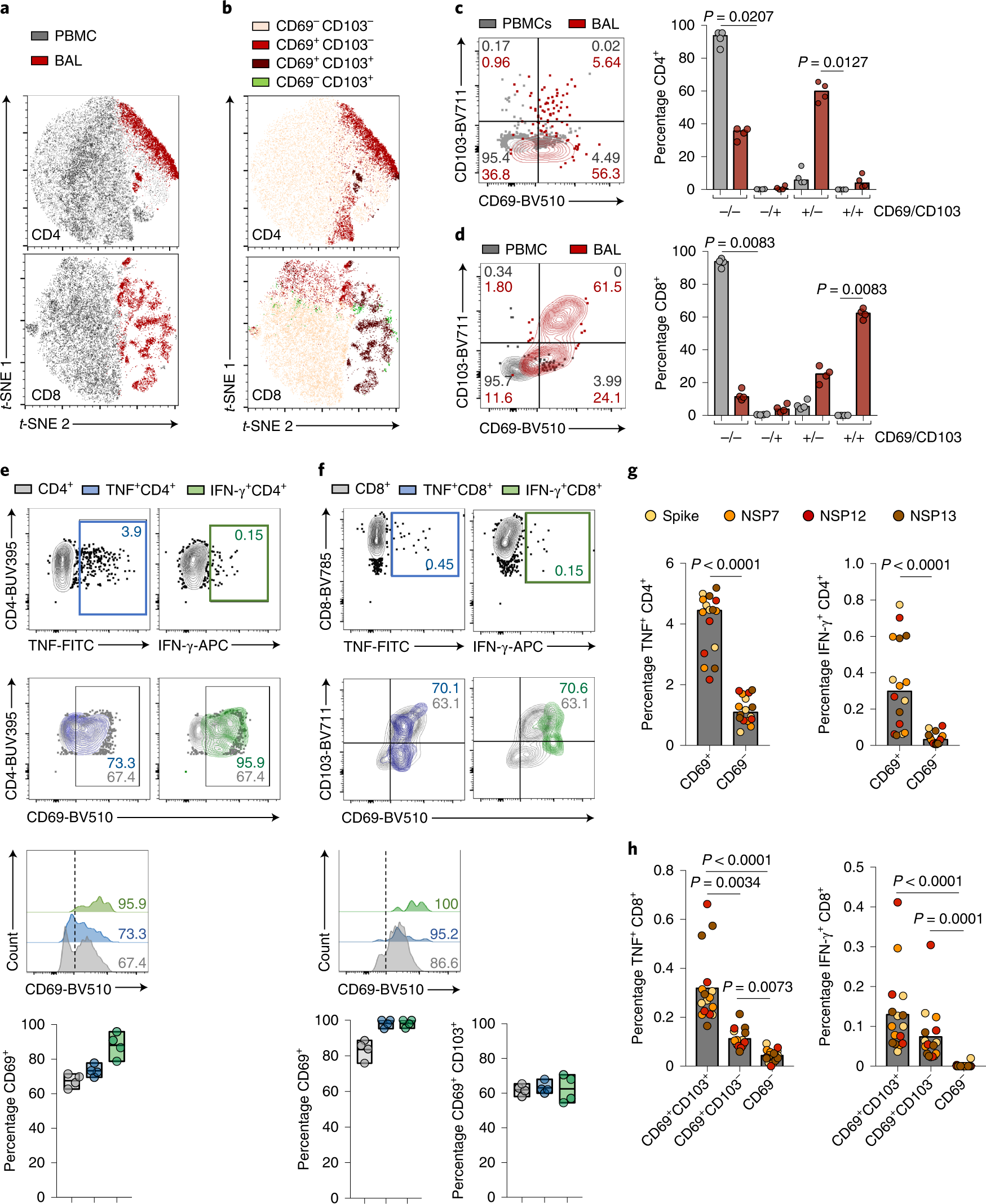Fig. 2: Enrichment of resident phenotype in global and antigen-specific T cells in BAL.