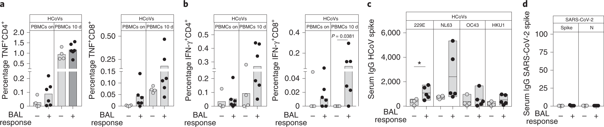 Fig. 4: HCoV spike-specific T cell and antibody responses are higher in individuals with detectable Sars-CoV-2-reactive T cell responses in BAL.