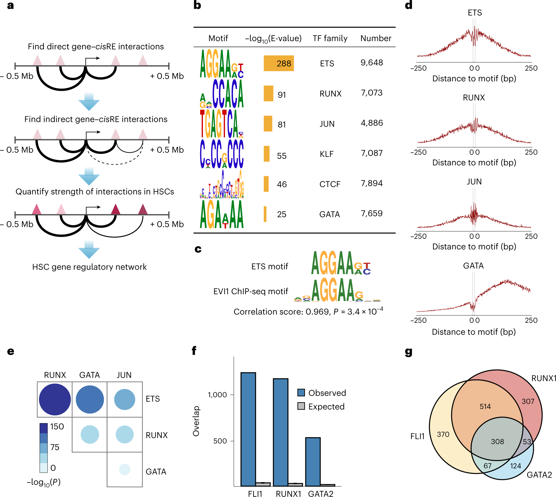 Fig. 5: Defining the HSC cis-regulatory network coordinated by MECOM.