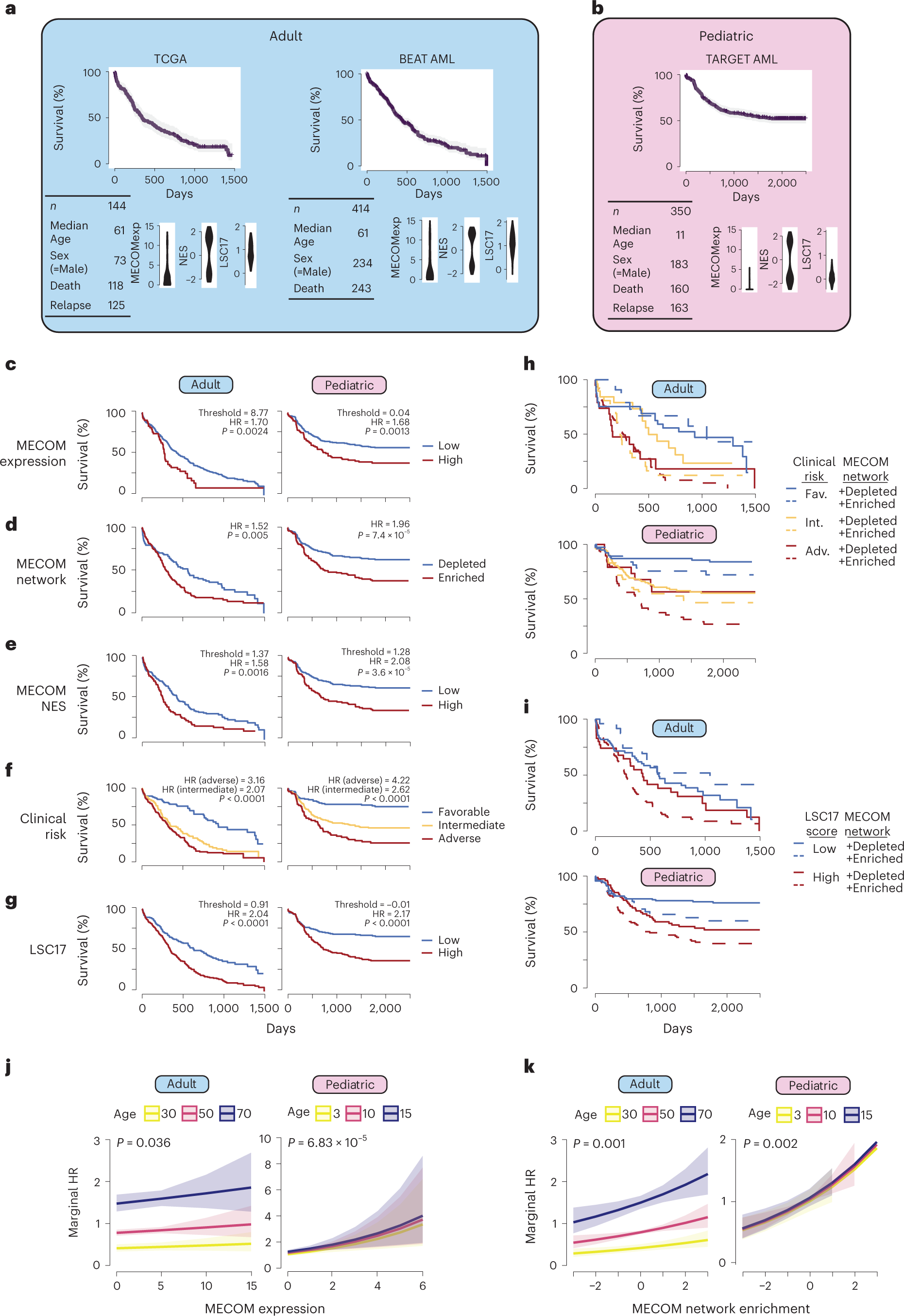 Fig. 7: The MECOM down gene network is hijacked in high-risk adult and pediatric AML.