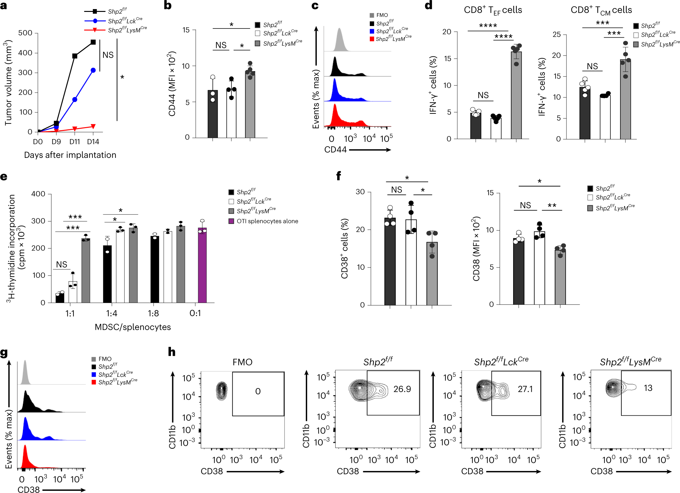 Fig. 1: Myeloid-specific SHP-2 deletion diminished tumor progression and suppressive function of MDSC.