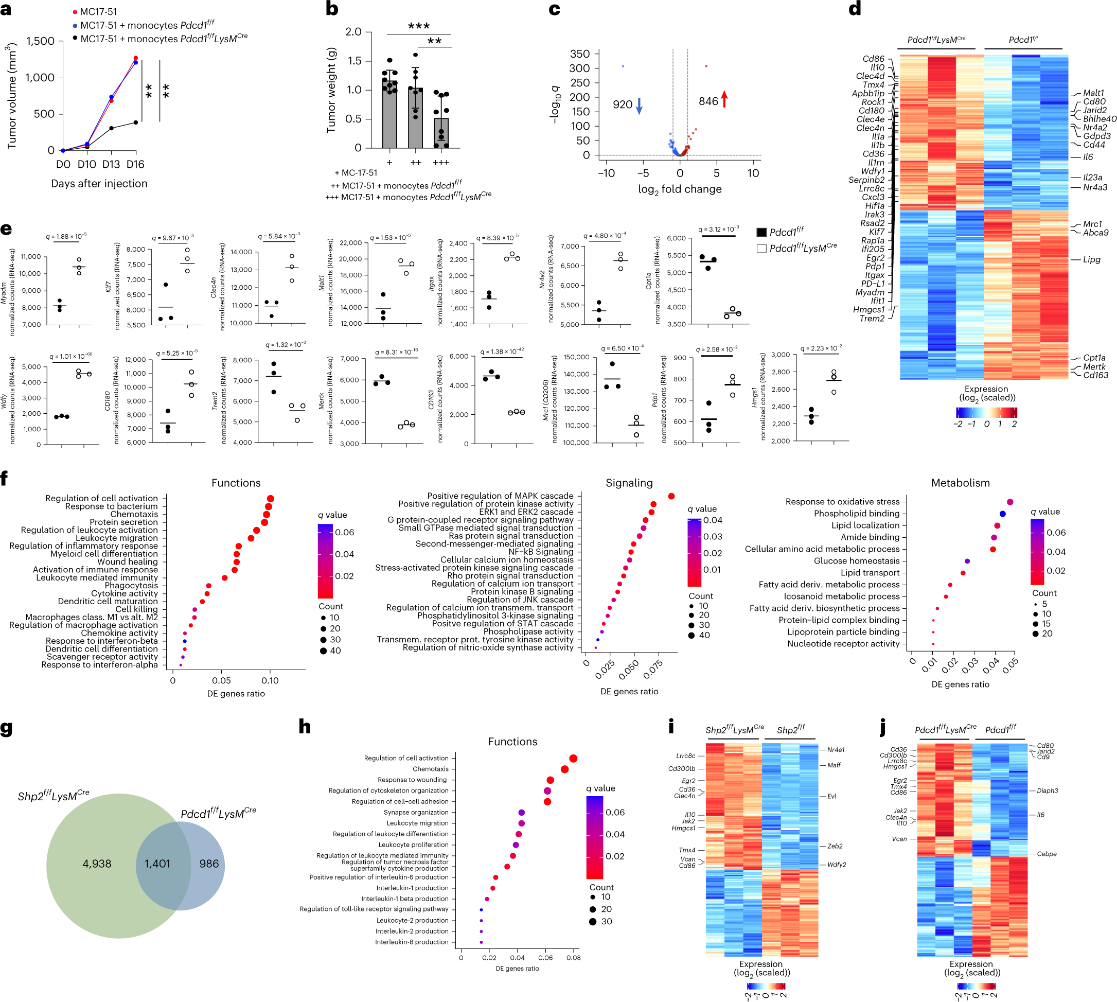 Fig. 8: PD-1 deletion altered signaling and metabolism, and imprinted an effector function program in TAMs.