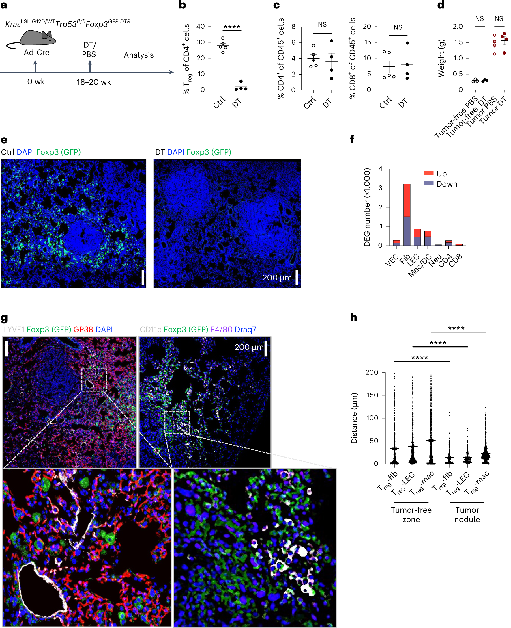 Conserved transcriptional connectivity of regulatory T cells in the tumor microenvironment informs new combination cancer therapy strategies Nature Immunology