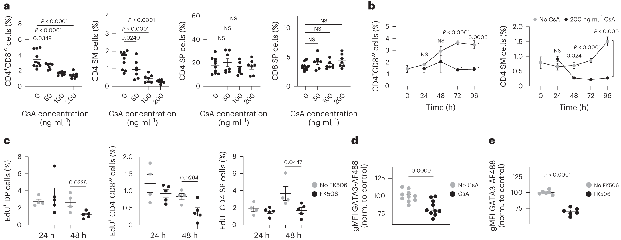 Fig. 5: Calcineurin blockade impairs new CD4 SP development and GATA3 induction.