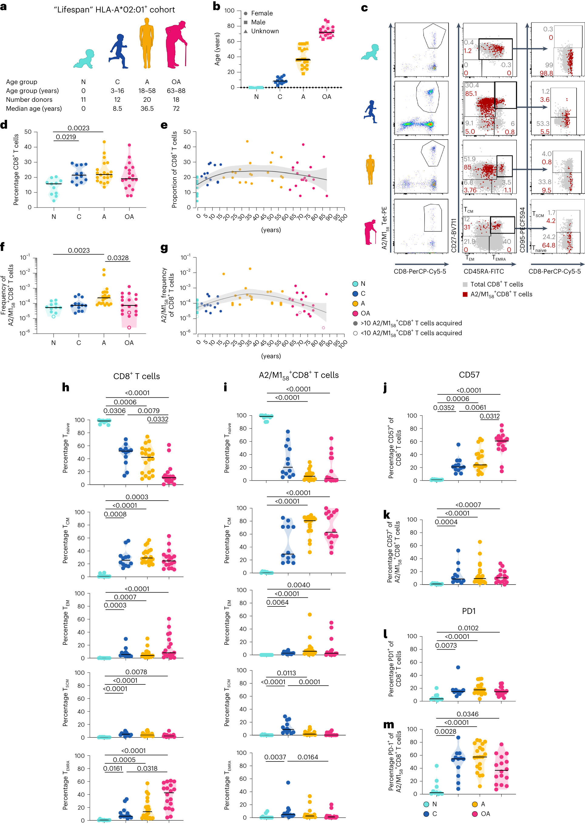 Newborn and child-like molecular signatures in older adults stem from TCR shifts across human lifespan Nature Immunology