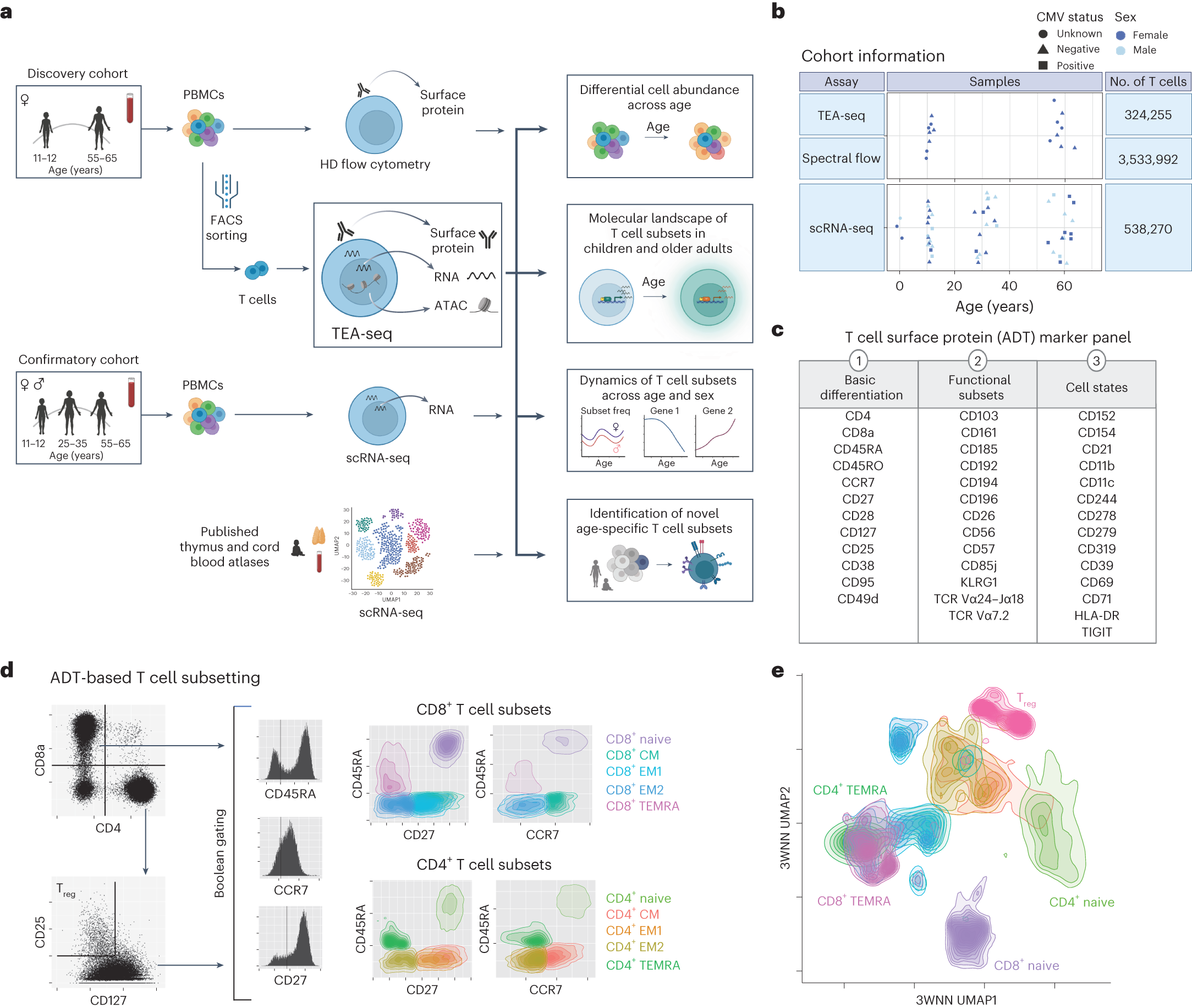 Fig. 1: Approach for investigating T cell subsets across age using the trimodal TEA-seq assay.