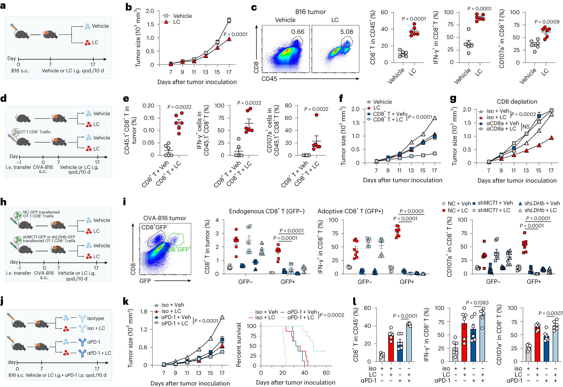 Fig. 4: LC improves T cell-based tumor immunotherapy in mice.