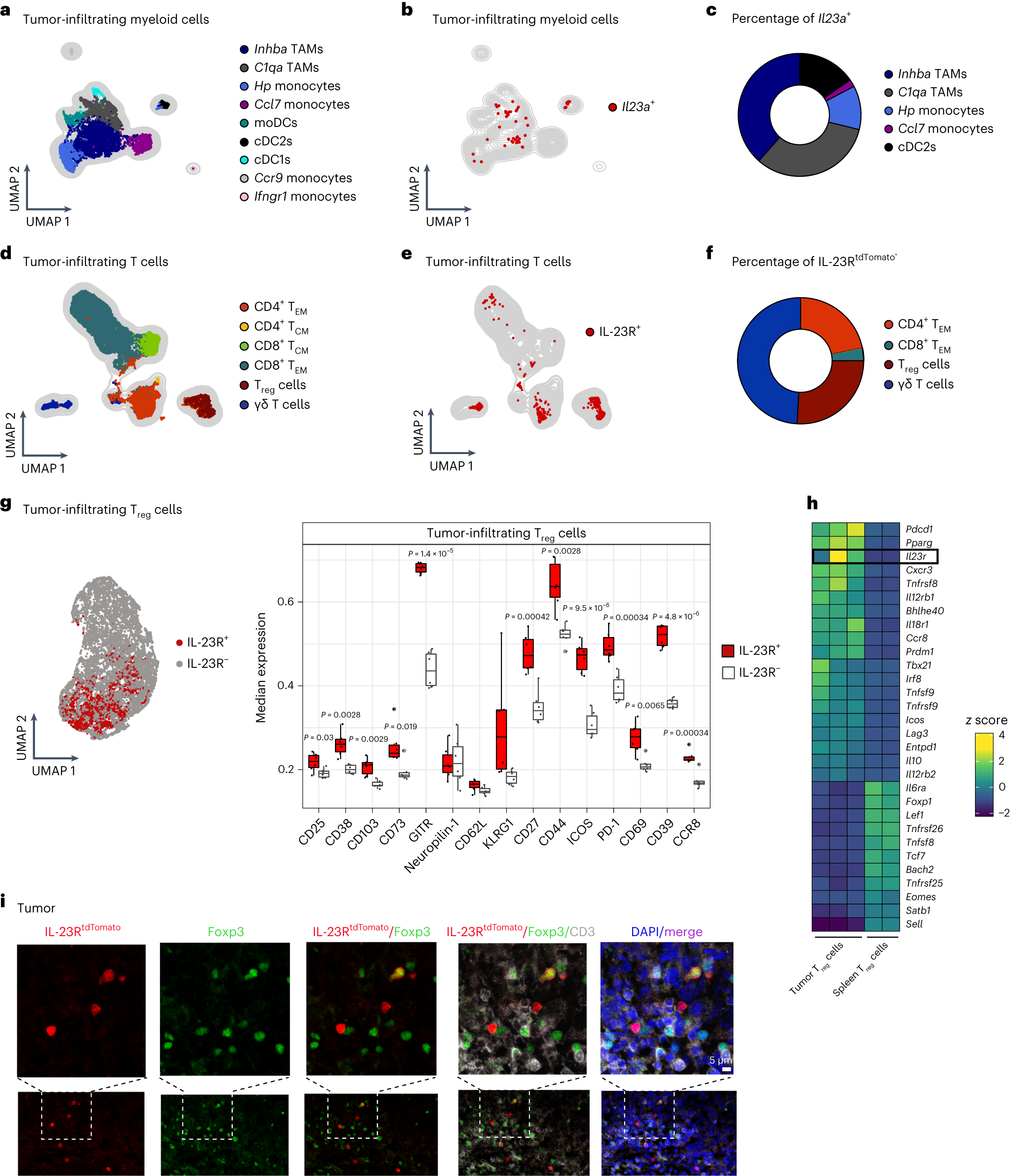IL-23 stabilizes an effector Treg cell program in the tumor  microenvironment | Nature Immunology